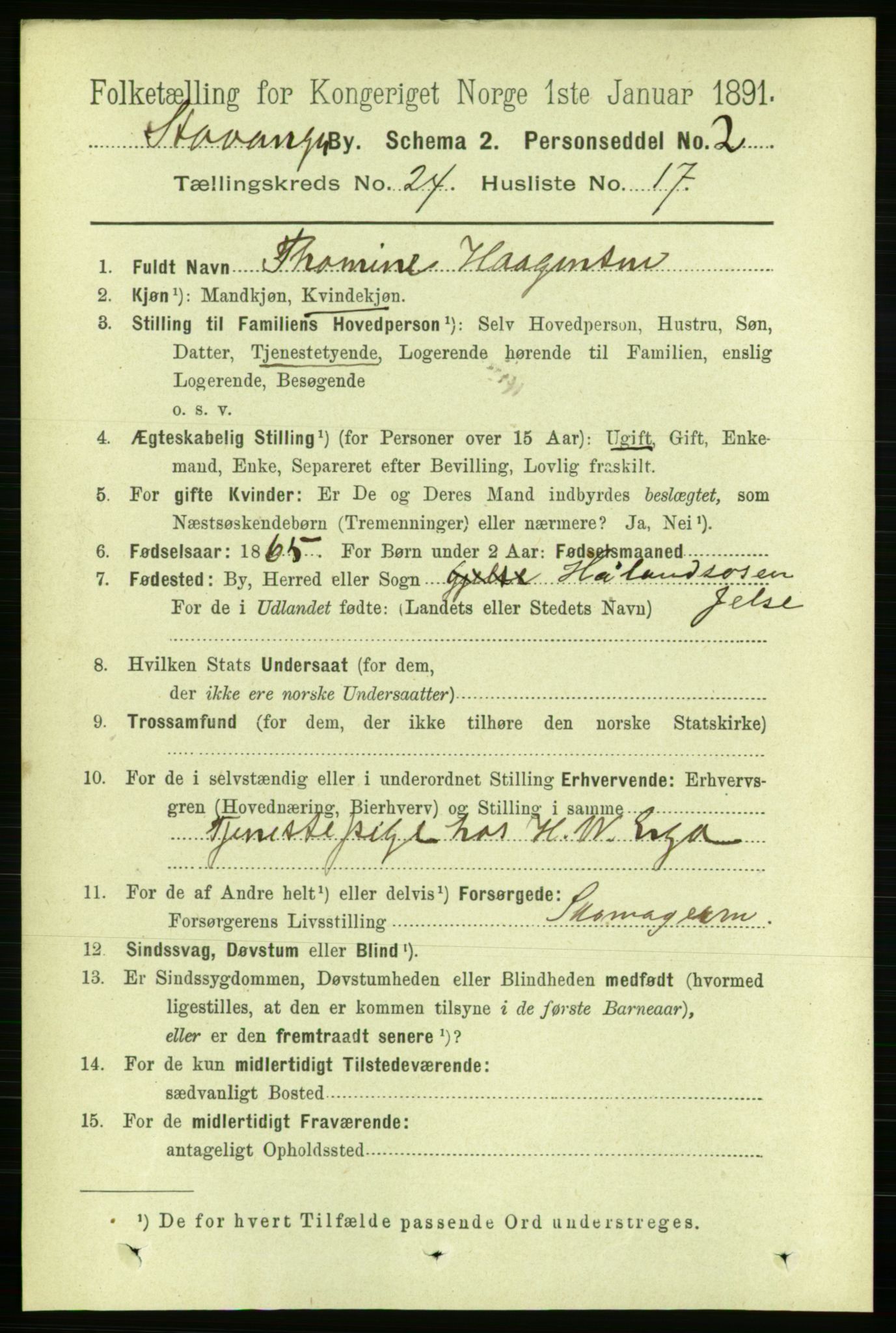 RA, 1891 census for 1103 Stavanger, 1891, p. 26494