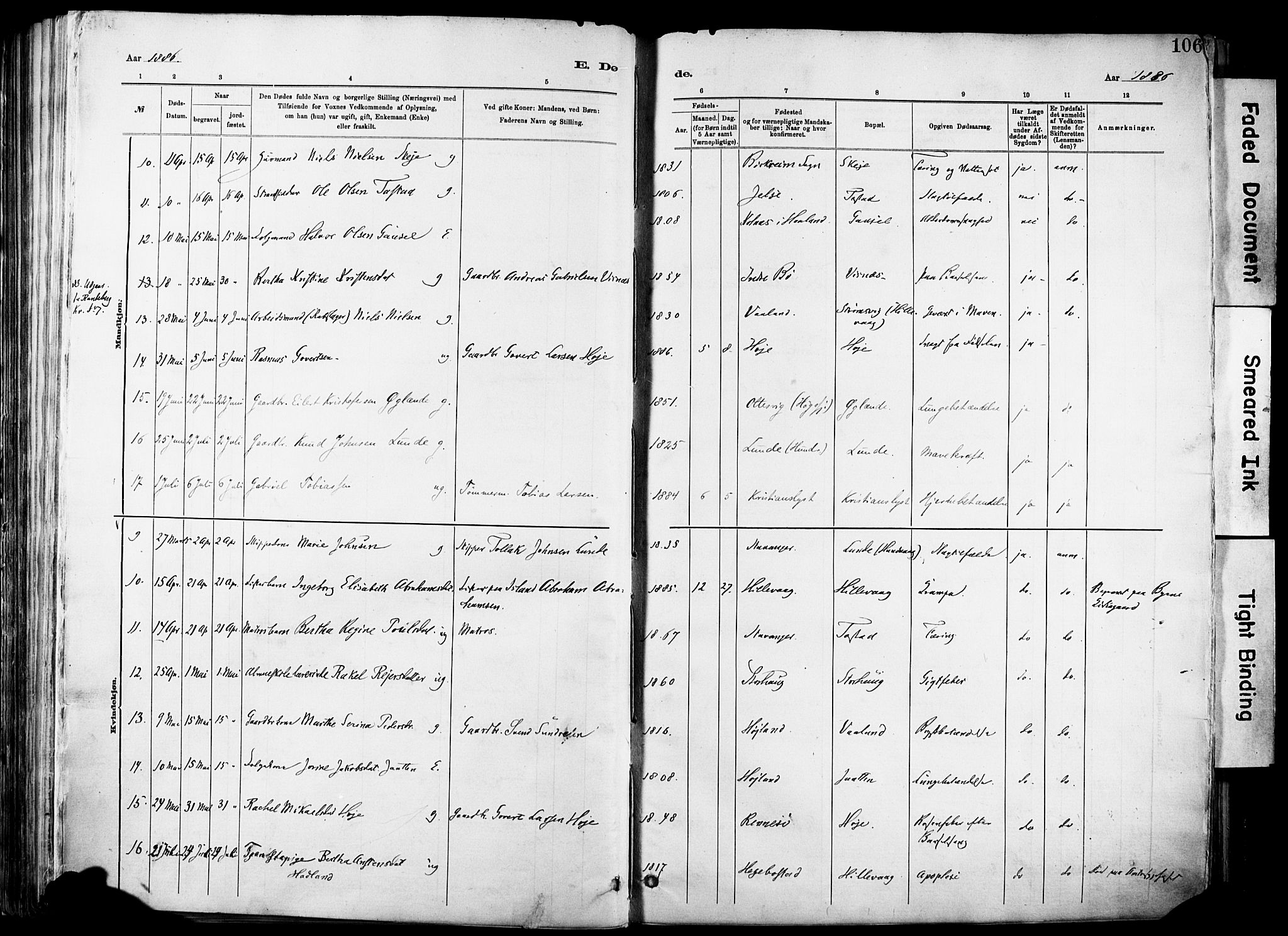 Hetland sokneprestkontor, SAST/A-101826/30/30BA/L0012: Parish register (official) no. A 12, 1882-1912, p. 106