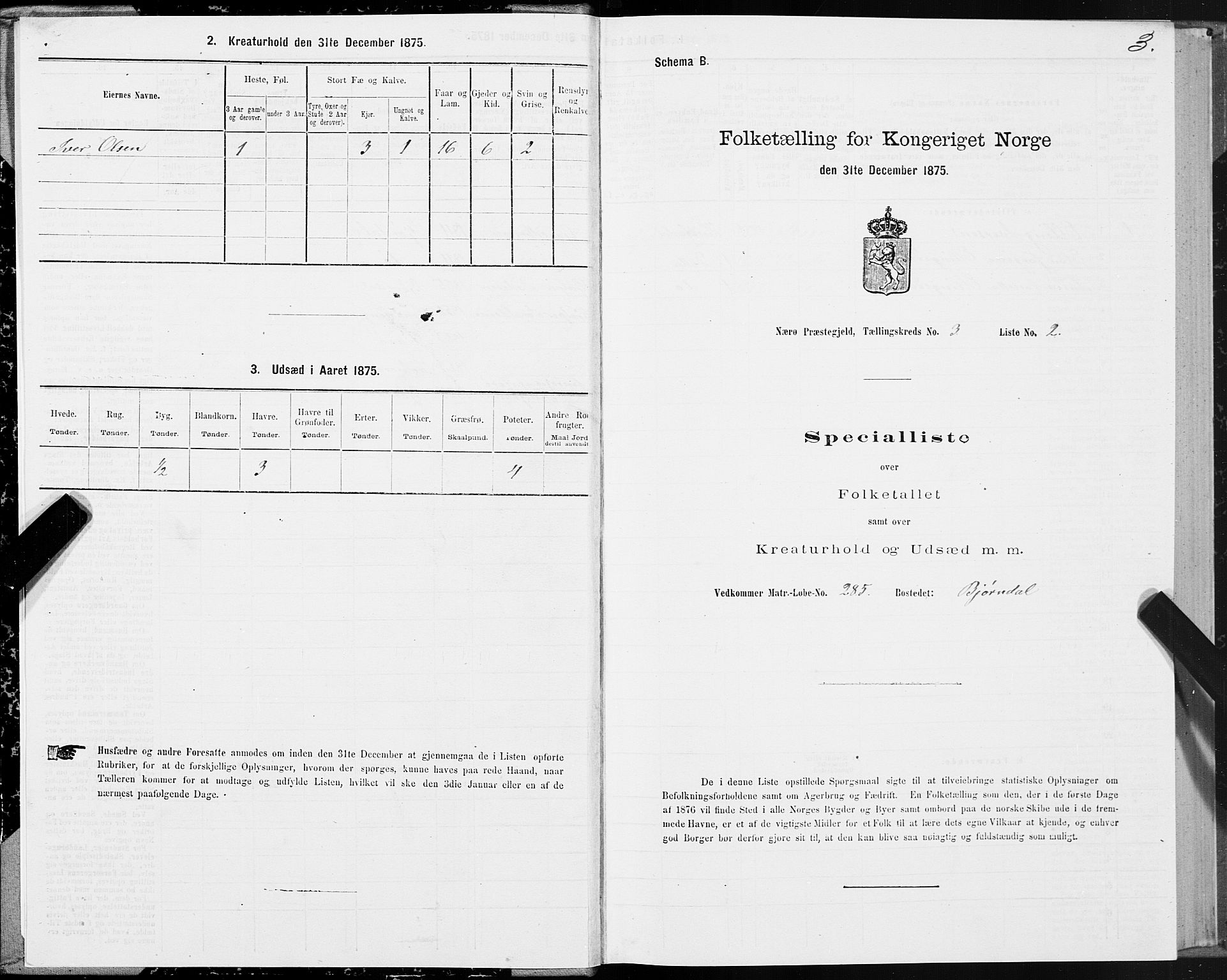 SAT, 1875 census for 1751P Nærøy, 1875, p. 2003