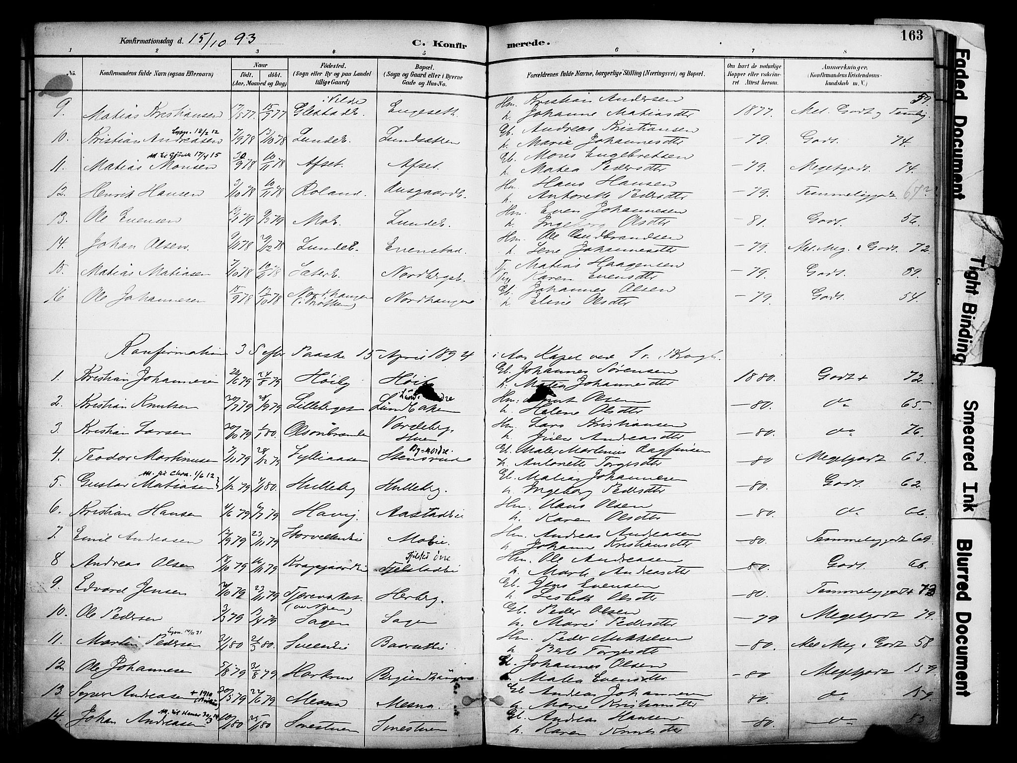 Ringsaker prestekontor, AV/SAH-PREST-014/K/Ka/L0017: Parish register (official) no. 17, 1891-1902, p. 163