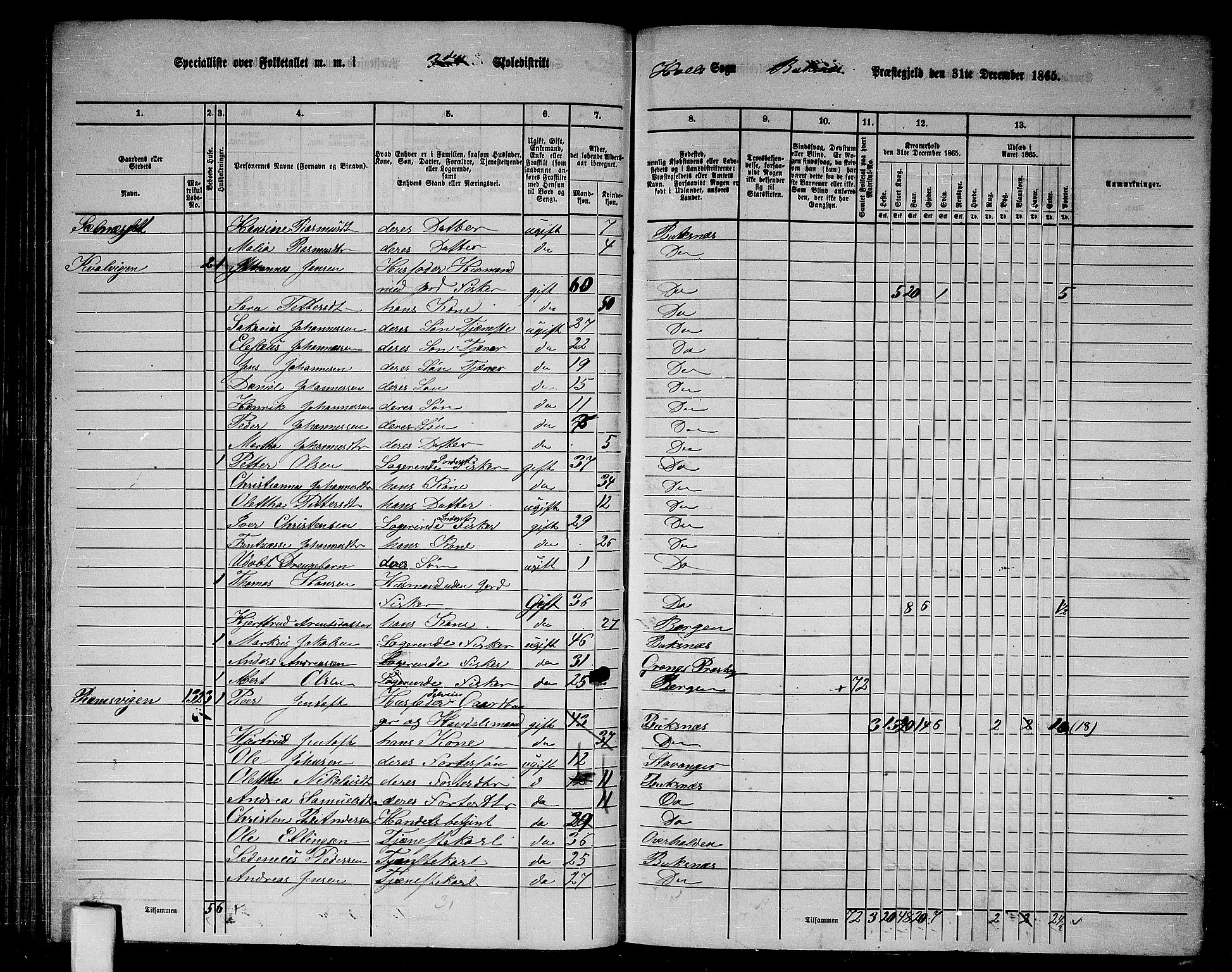 RA, 1865 census for Buksnes, 1865, p. 65