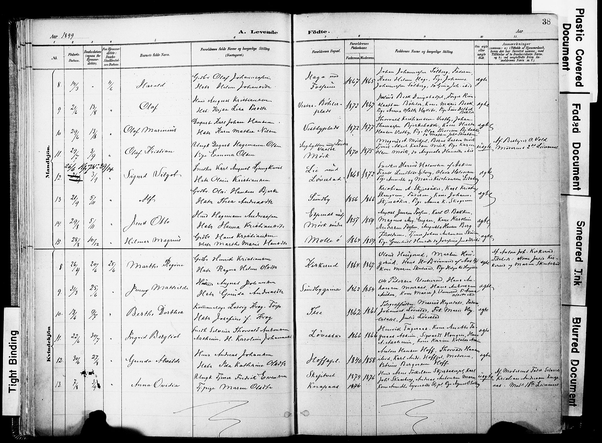 Spydeberg prestekontor Kirkebøker, AV/SAO-A-10924/F/Fa/L0008: Parish register (official) no. I 8, 1886-1900, p. 38