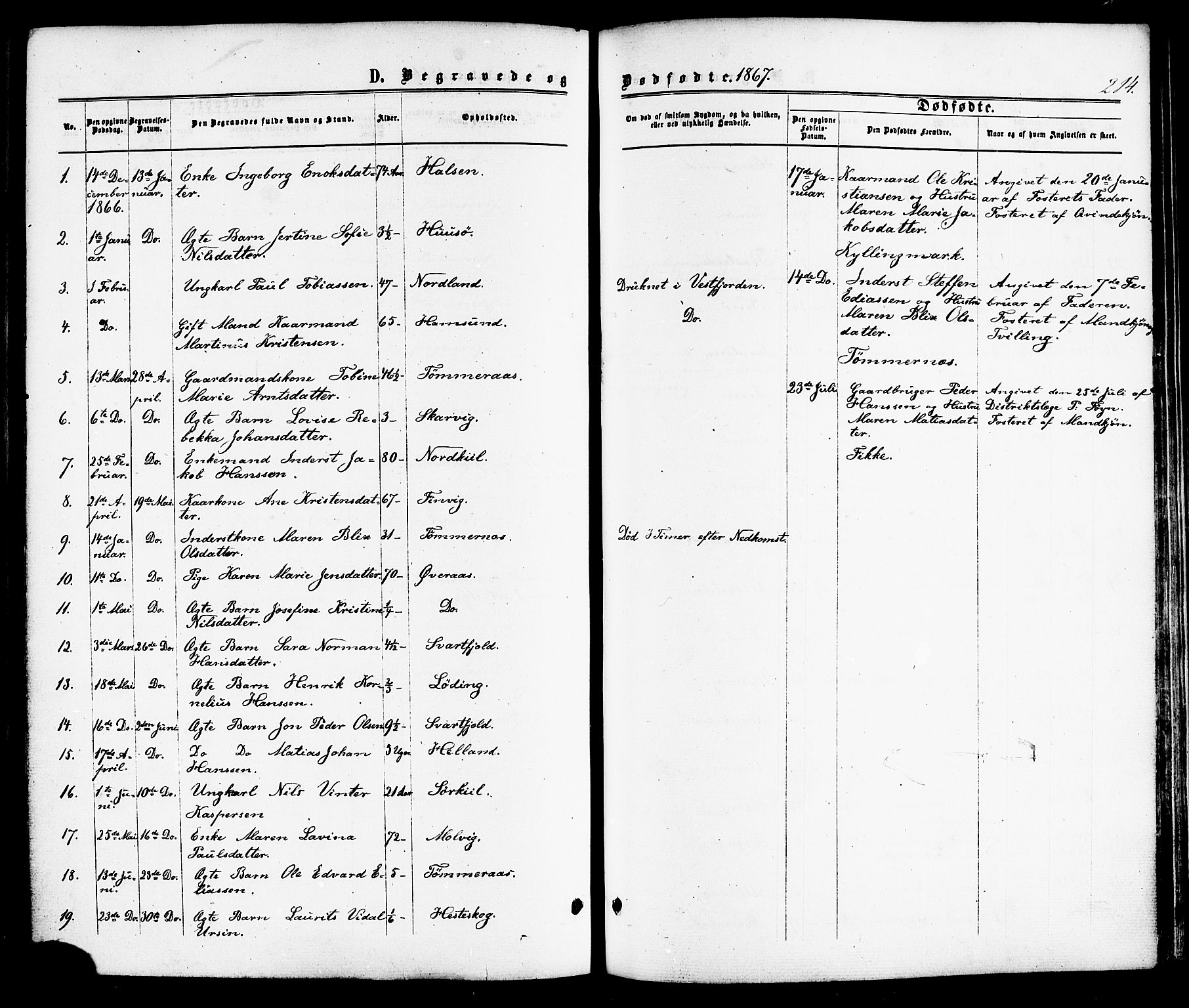 Ministerialprotokoller, klokkerbøker og fødselsregistre - Nordland, AV/SAT-A-1459/859/L0845: Parish register (official) no. 859A05, 1863-1877, p. 214