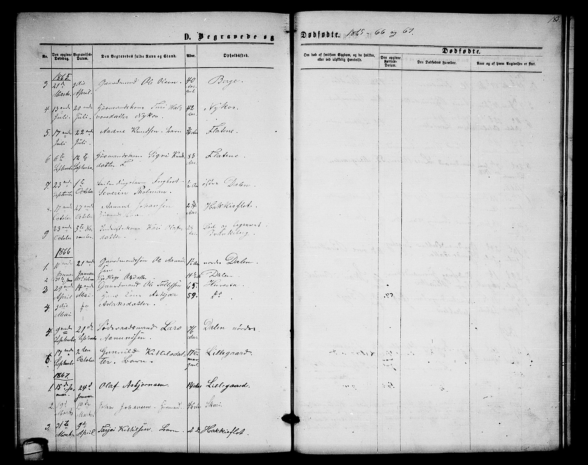 Lårdal kirkebøker, AV/SAKO-A-284/G/Gb/L0002: Parish register (copy) no. II 2, 1865-1888, p. 183