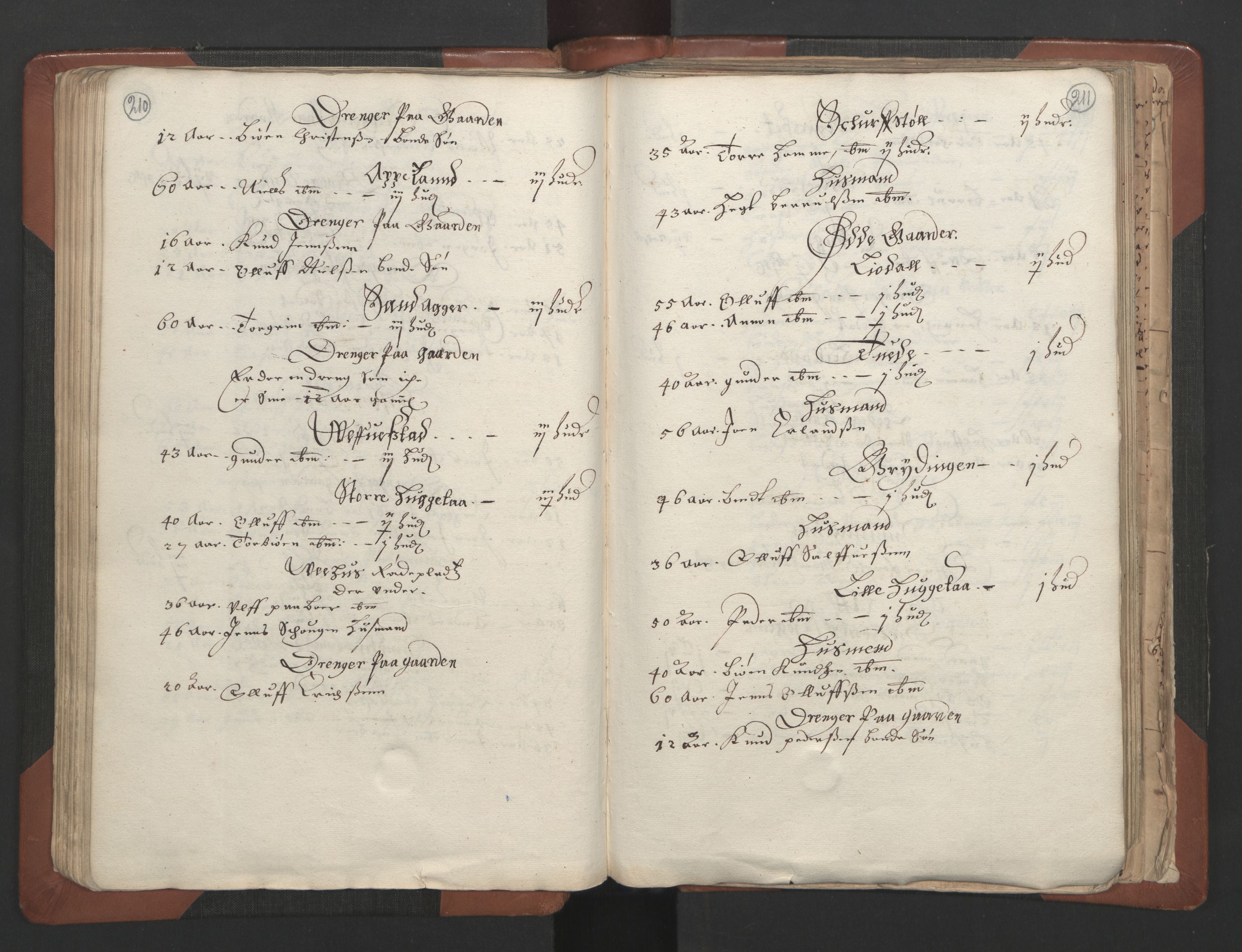 RA, Bailiff's Census 1664-1666, no. 7: Nedenes fogderi, 1664-1666, p. 210-211
