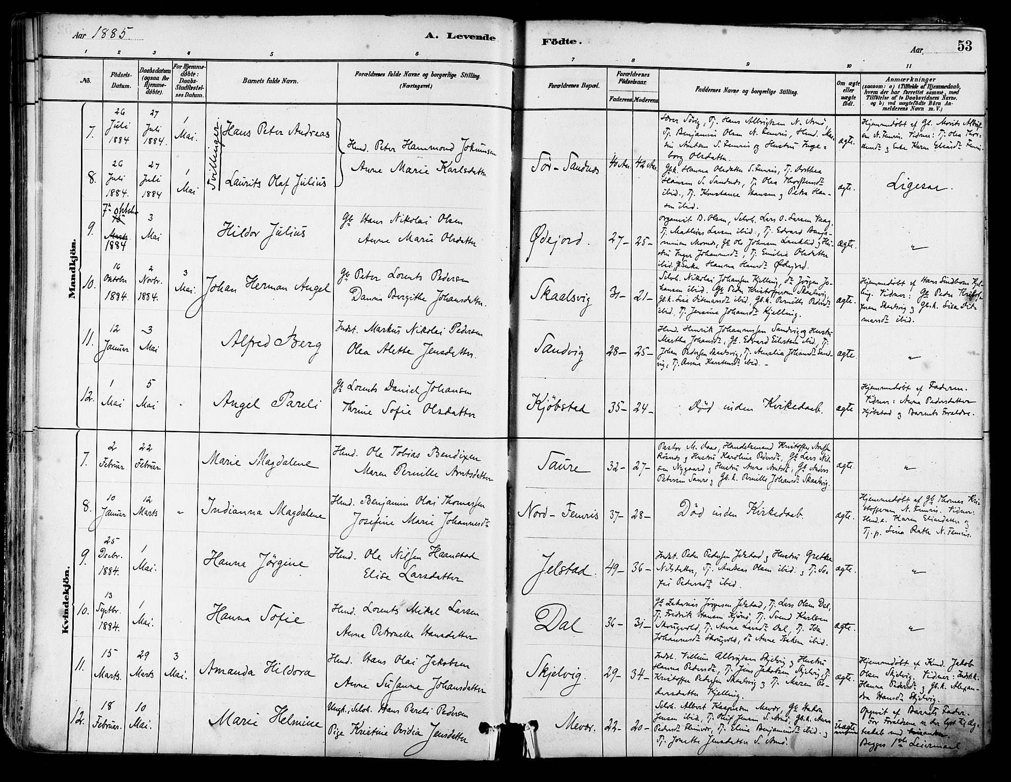 Ministerialprotokoller, klokkerbøker og fødselsregistre - Nordland, AV/SAT-A-1459/805/L0099: Parish register (official) no. 805A06, 1880-1891, p. 53