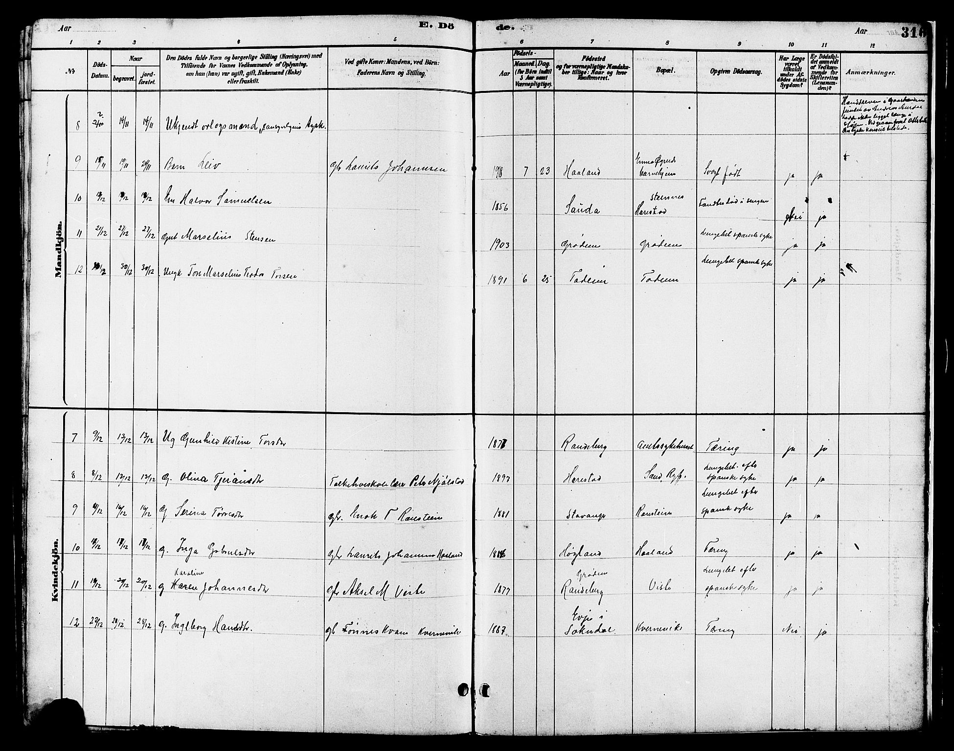 Hetland sokneprestkontor, SAST/A-101826/30/30BB/L0006: Parish register (copy) no. B 6, 1878-1921, p. 316