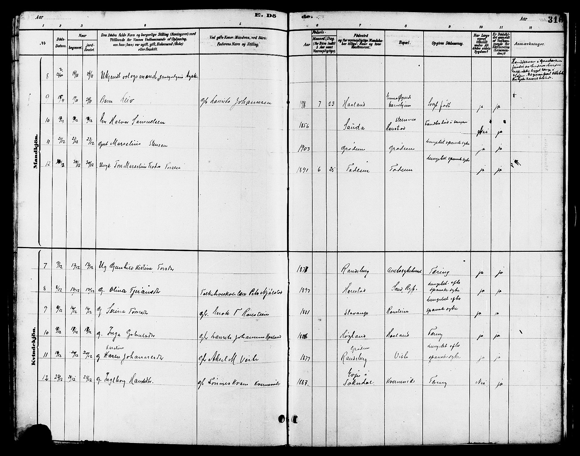 Hetland sokneprestkontor, AV/SAST-A-101826/30/30BB/L0006: Parish register (copy) no. B 6, 1878-1921, p. 316