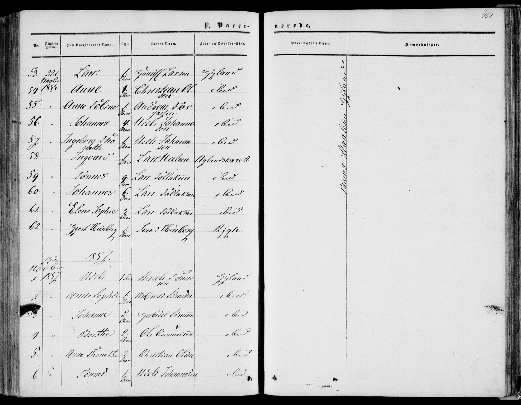 Bakke sokneprestkontor, SAK/1111-0002/F/Fa/Fab/L0002: Parish register (official) no. A 2, 1855-1884, p. 461