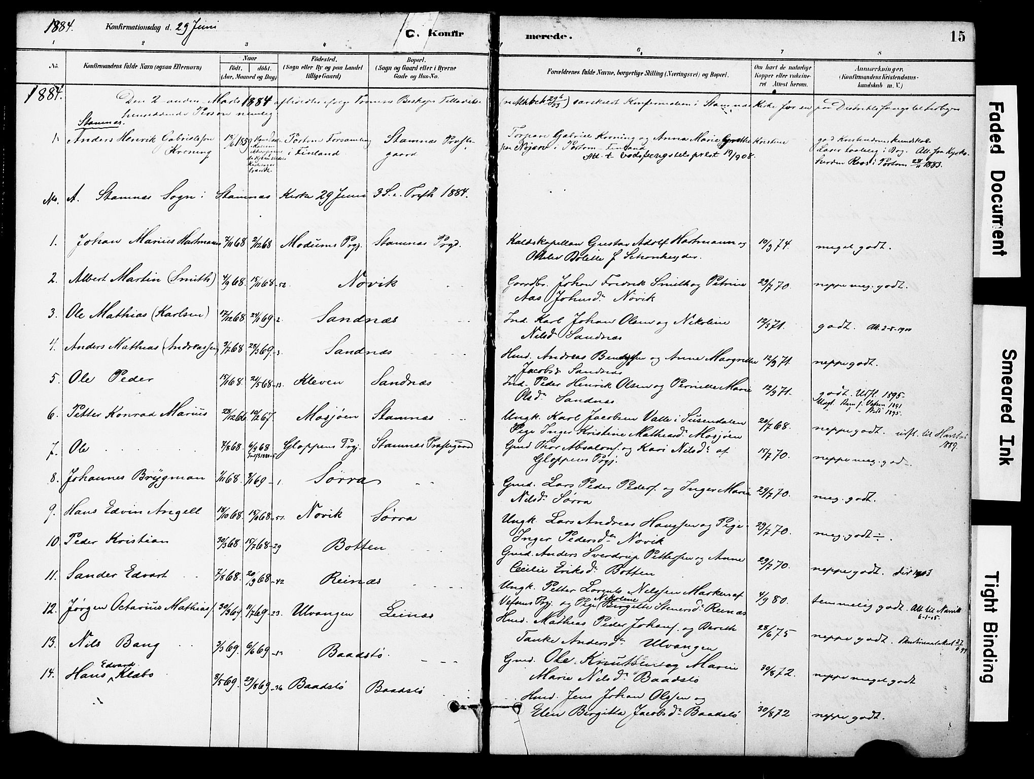 Ministerialprotokoller, klokkerbøker og fødselsregistre - Nordland, AV/SAT-A-1459/830/L0450: Parish register (official) no. 830A14, 1879-1896, p. 15