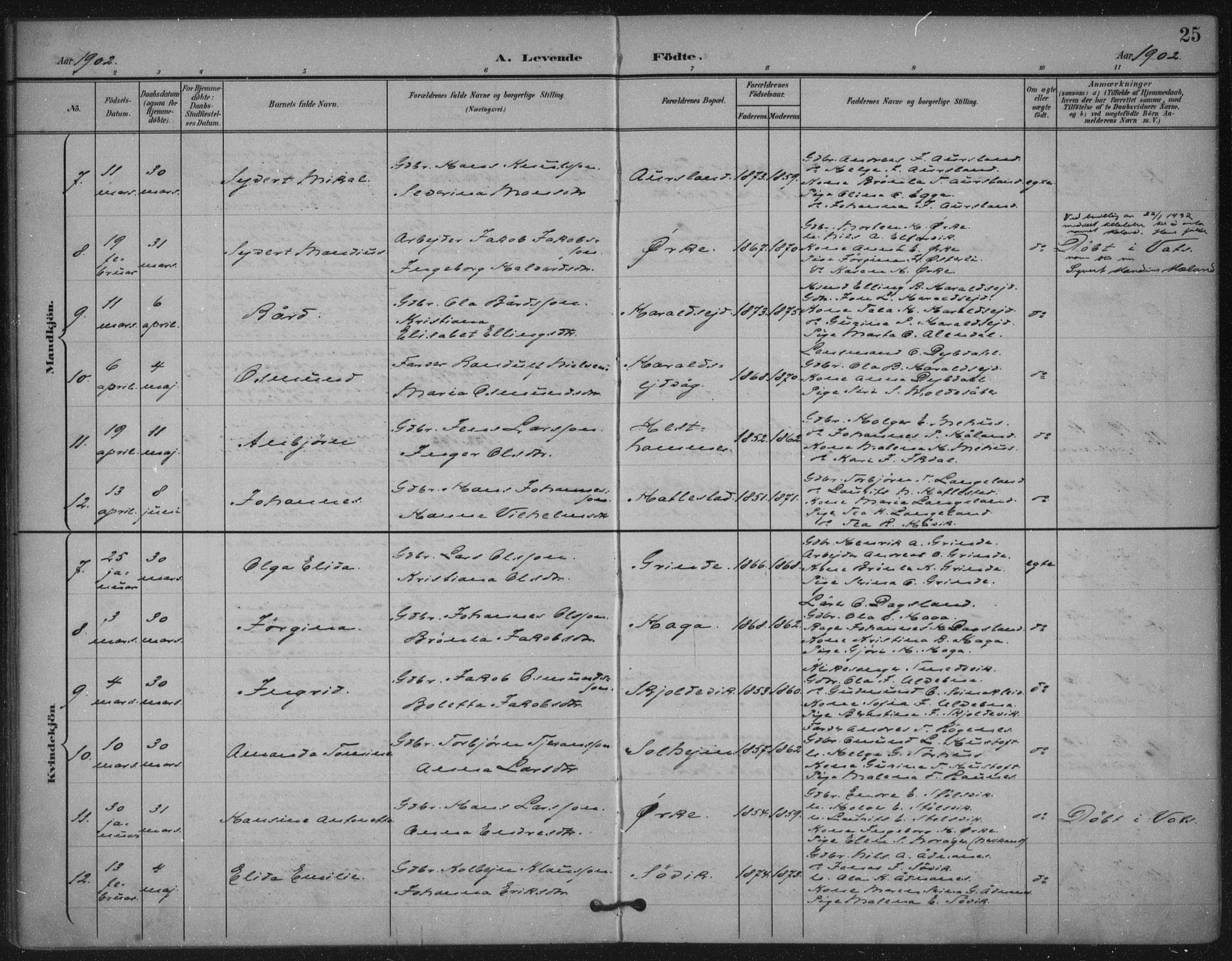 Skjold sokneprestkontor, AV/SAST-A-101847/H/Ha/Haa/L0011: Parish register (official) no. A 11, 1897-1914, p. 25