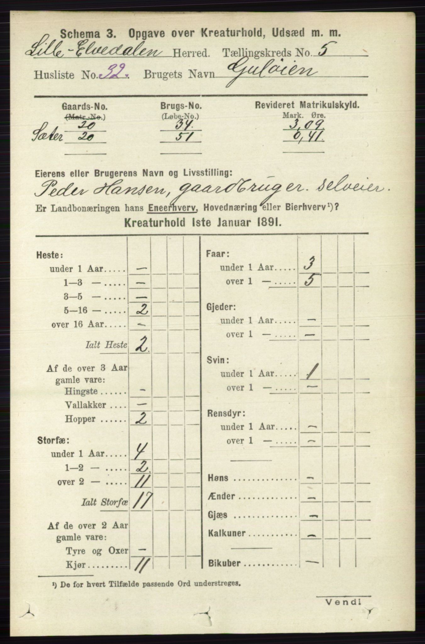 RA, 1891 census for 0438 Lille Elvedalen, 1891, p. 4356