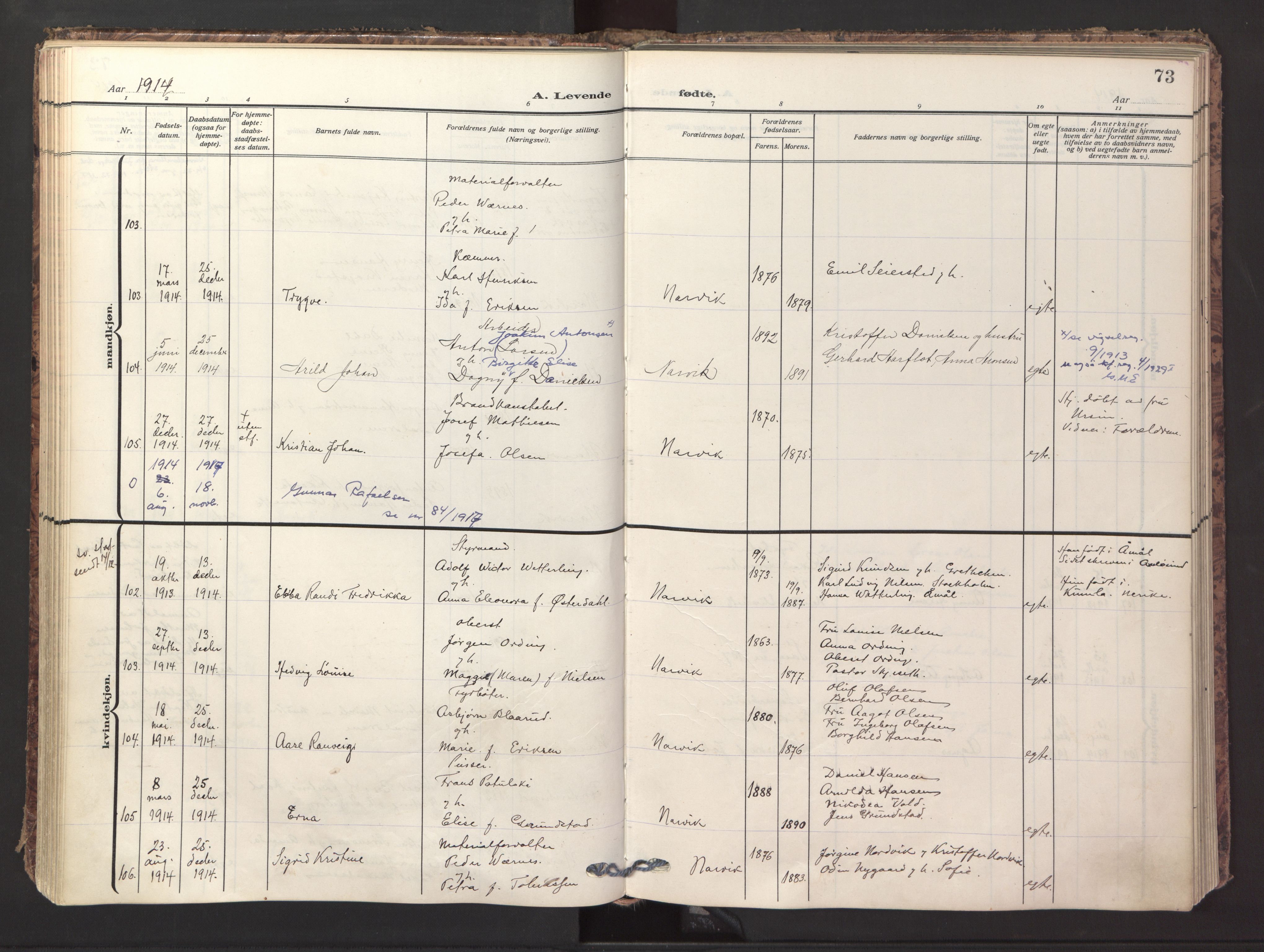 Ministerialprotokoller, klokkerbøker og fødselsregistre - Nordland, AV/SAT-A-1459/871/L1001: Parish register (official) no. 871A17, 1911-1921, p. 73