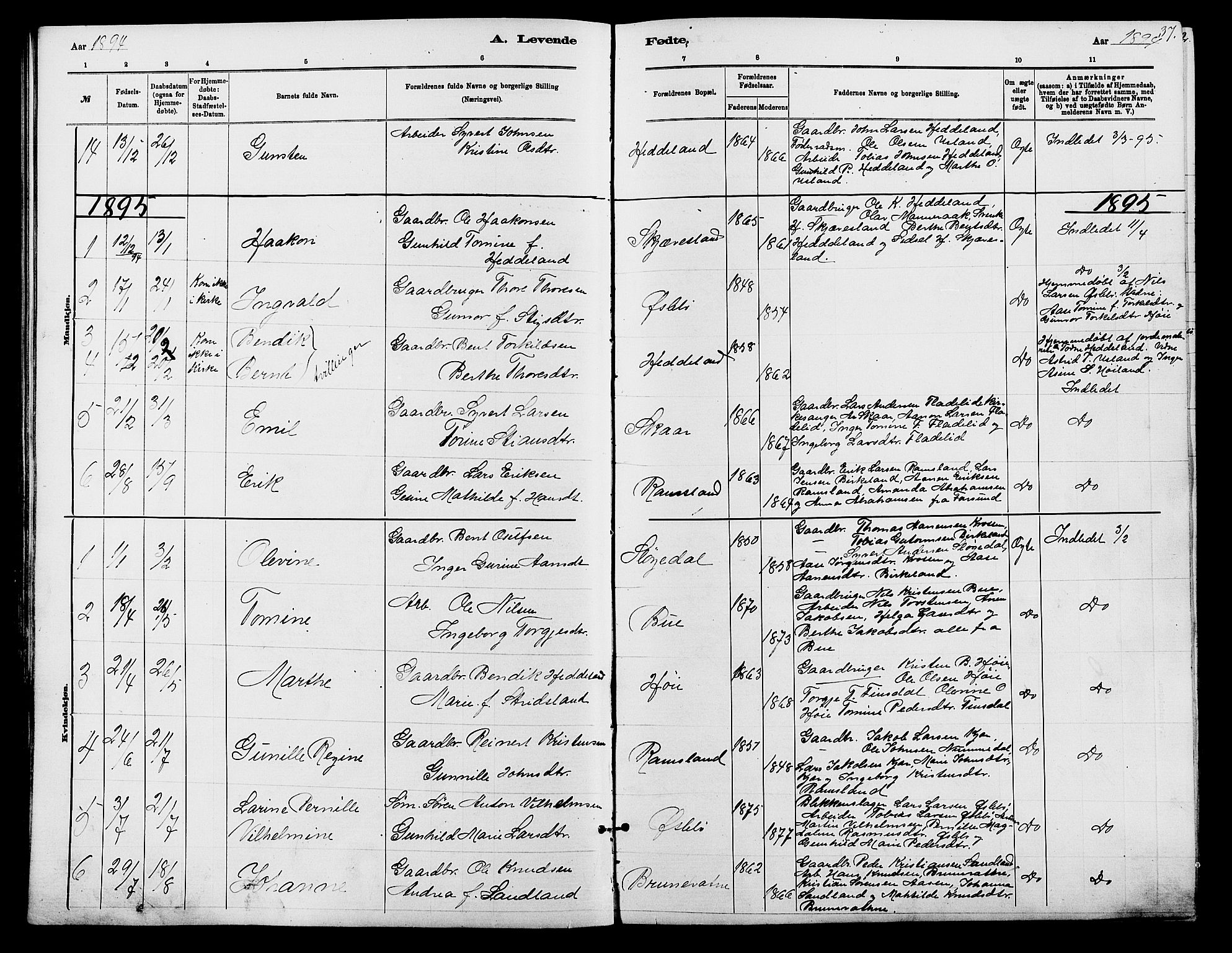 Holum sokneprestkontor, SAK/1111-0022/F/Fb/Fbc/L0003: Parish register (copy) no. B 3, 1882-1908, p. 37