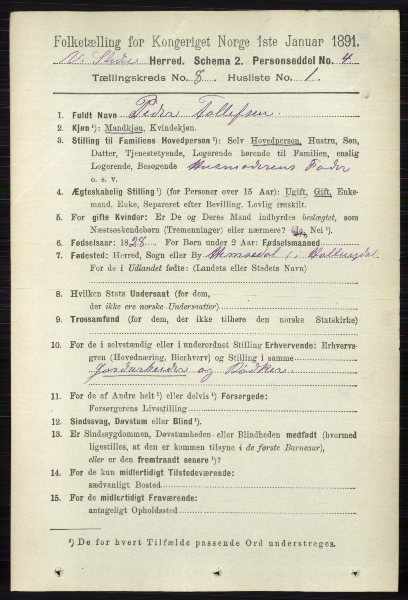 RA, 1891 census for 0543 Vestre Slidre, 1891, p. 2987