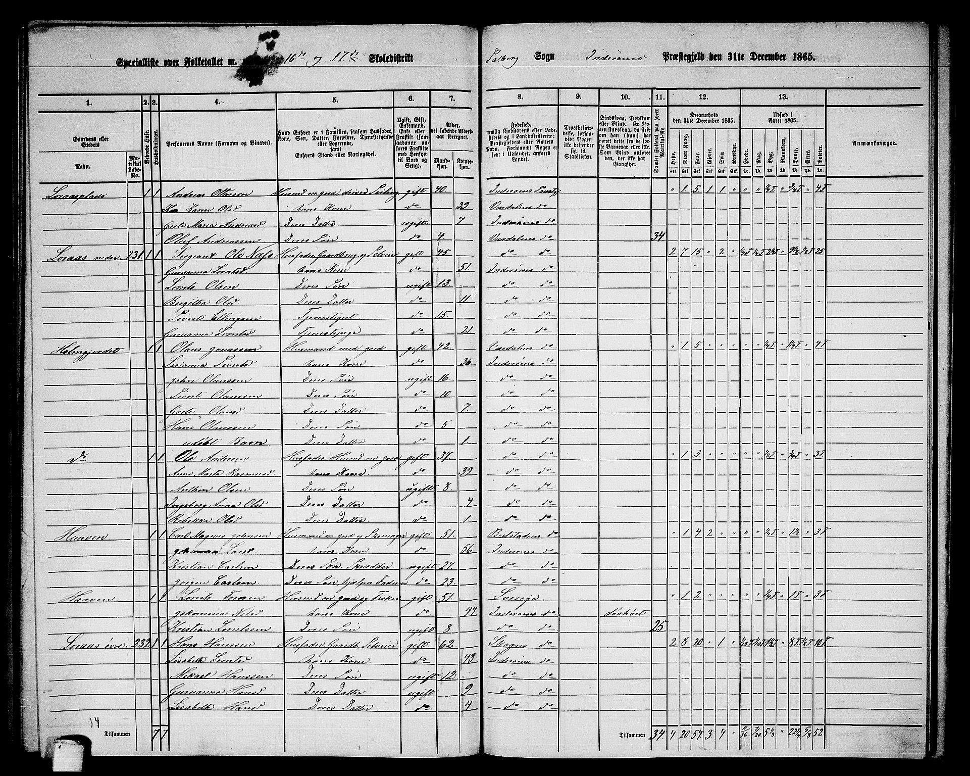 RA, 1865 census for Inderøy, 1865, p. 207