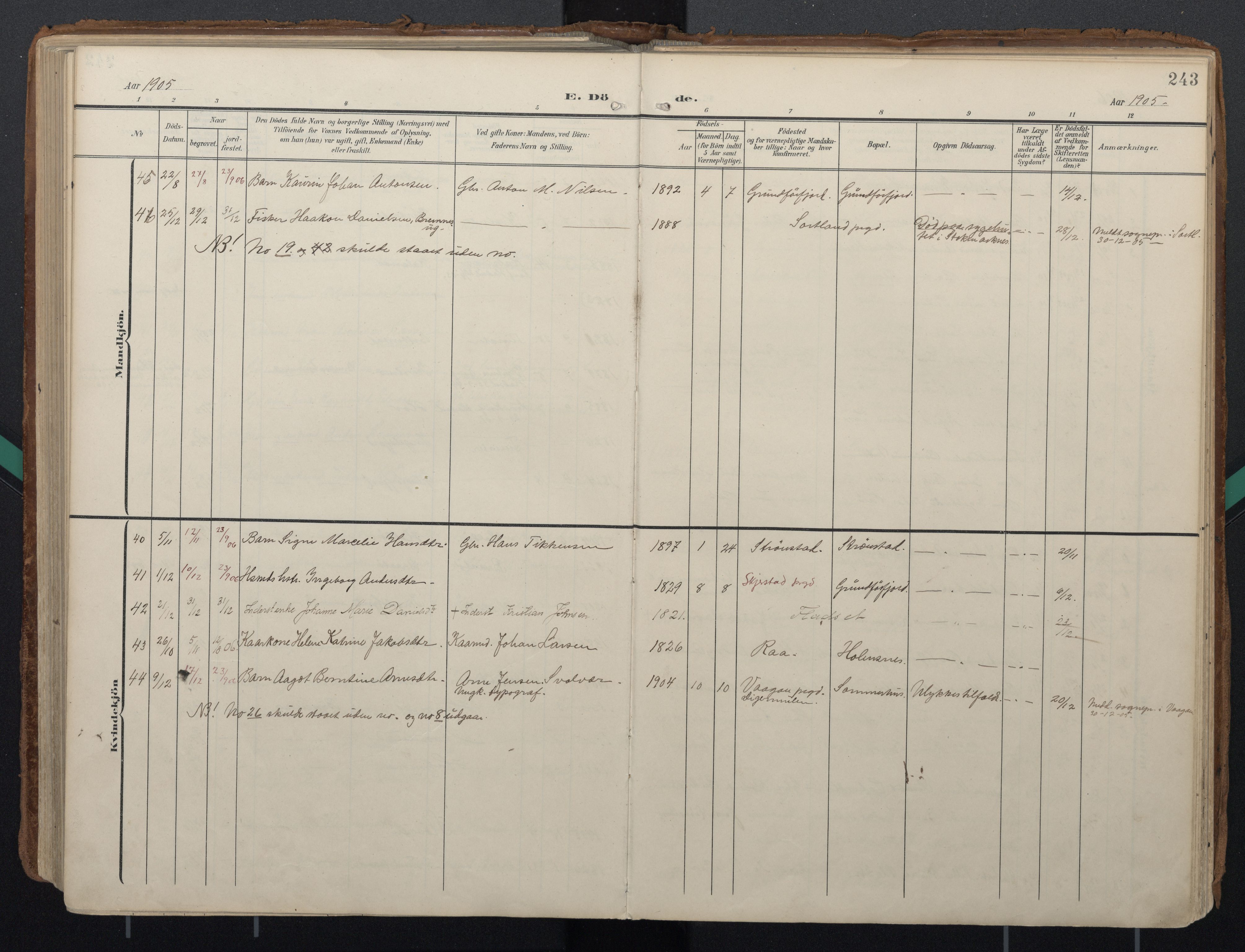 Ministerialprotokoller, klokkerbøker og fødselsregistre - Nordland, AV/SAT-A-1459/888/L1248: Parish register (official) no. 888A14, 1904-1913, p. 243