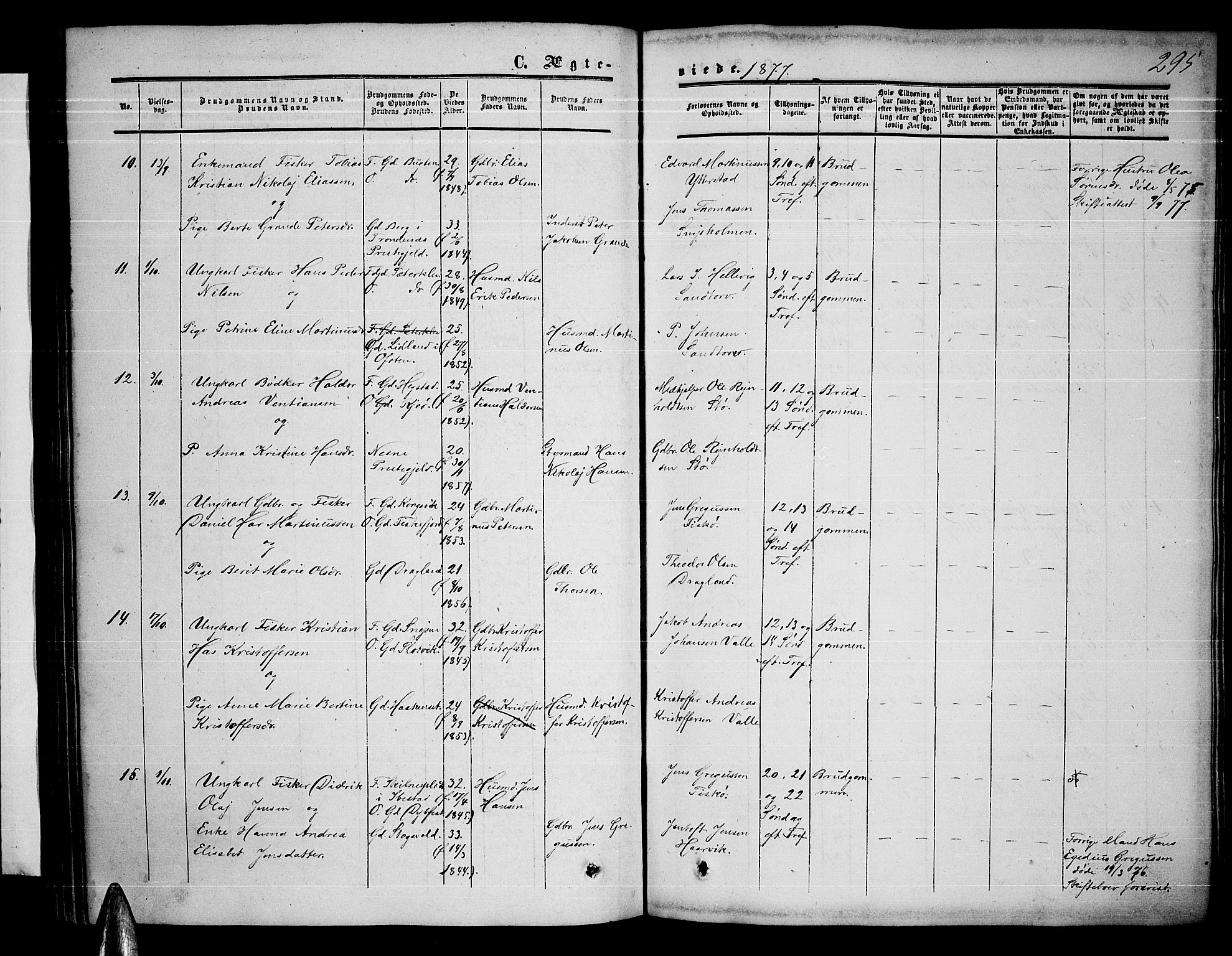 Ministerialprotokoller, klokkerbøker og fødselsregistre - Nordland, AV/SAT-A-1459/872/L1046: Parish register (copy) no. 872C02, 1852-1879, p. 295