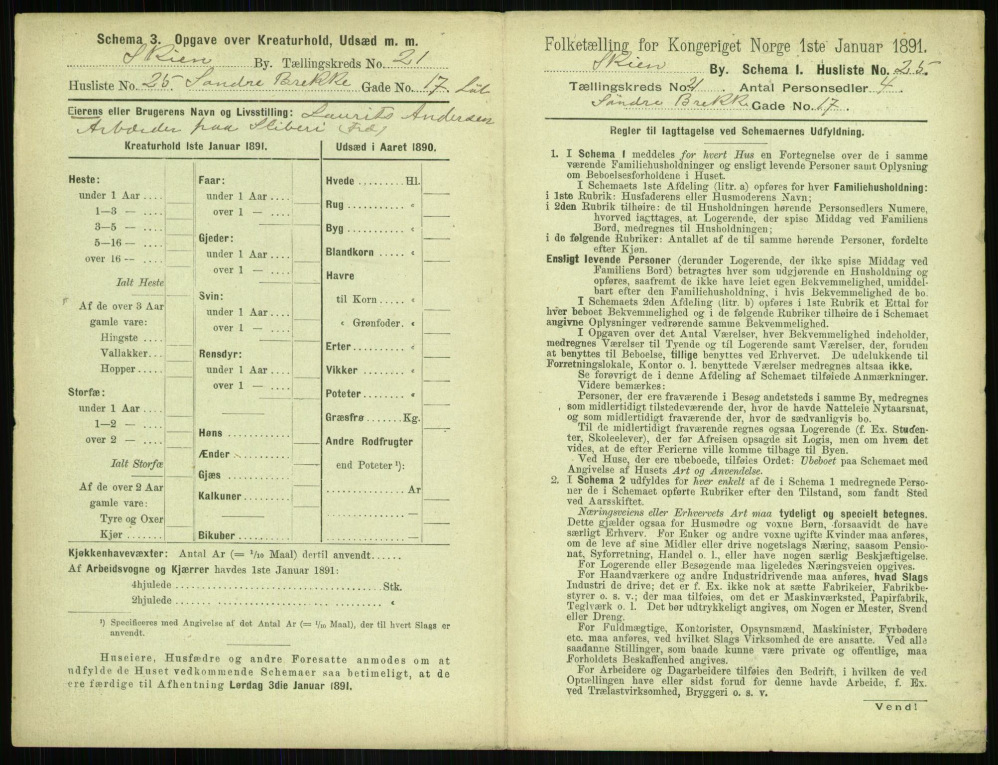 RA, 1891 census for 0806 Skien, 1891, p. 844