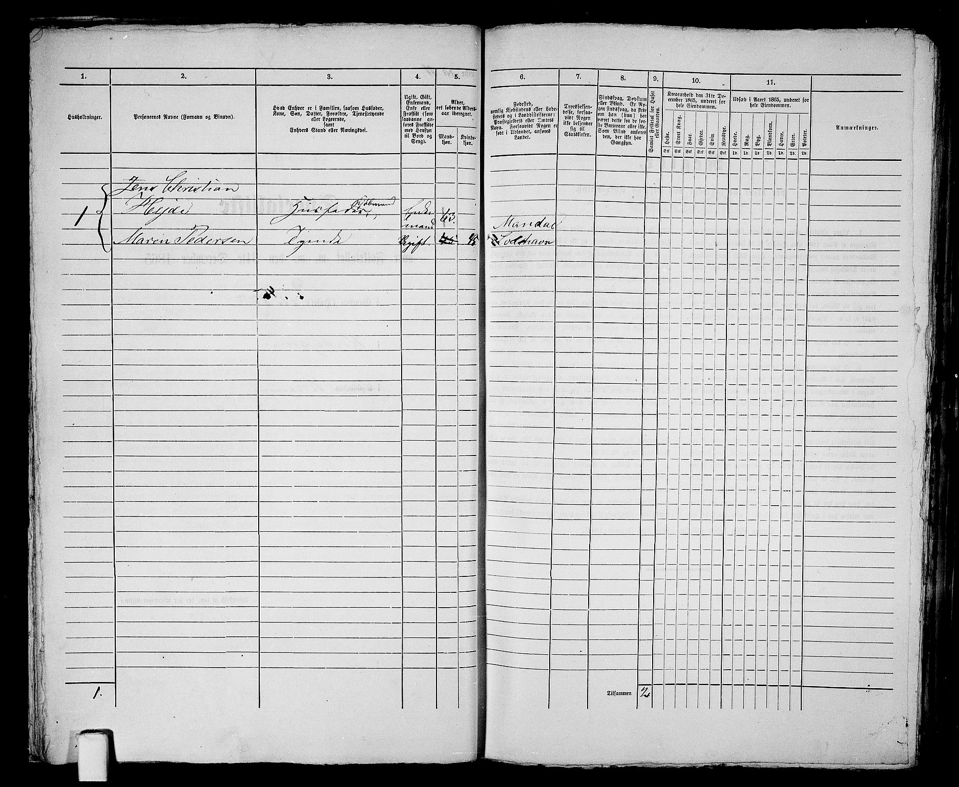 RA, 1865 census for Vanse/Farsund, 1865, p. 28