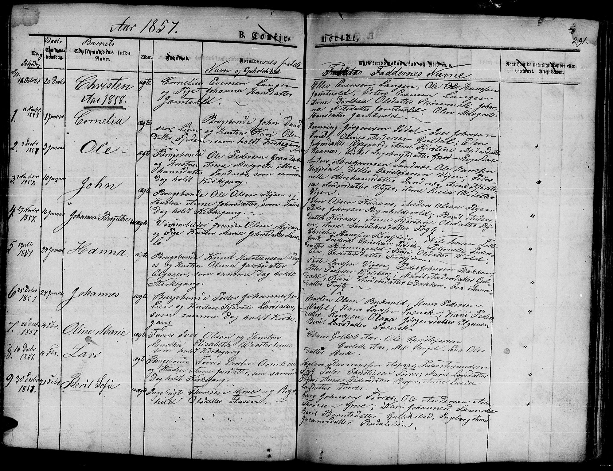 Ministerialprotokoller, klokkerbøker og fødselsregistre - Sør-Trøndelag, AV/SAT-A-1456/681/L0938: Parish register (copy) no. 681C02, 1829-1879, p. 291