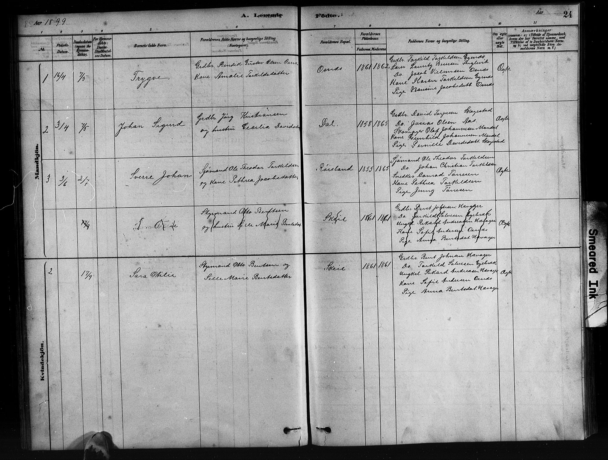 Mandal sokneprestkontor, SAK/1111-0030/F/Fb/Fbb/L0004: Parish register (copy) no. B 4, 1878-1913, p. 24