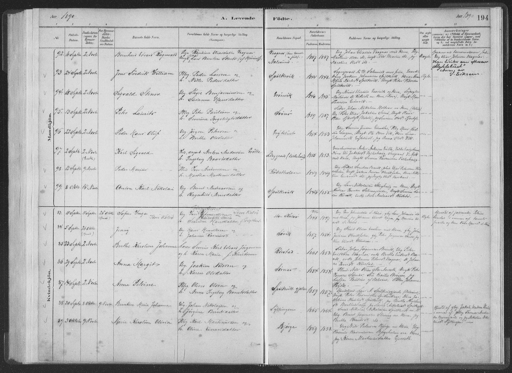 Ministerialprotokoller, klokkerbøker og fødselsregistre - Møre og Romsdal, AV/SAT-A-1454/528/L0401: Parish register (official) no. 528A12I, 1880-1920, p. 194