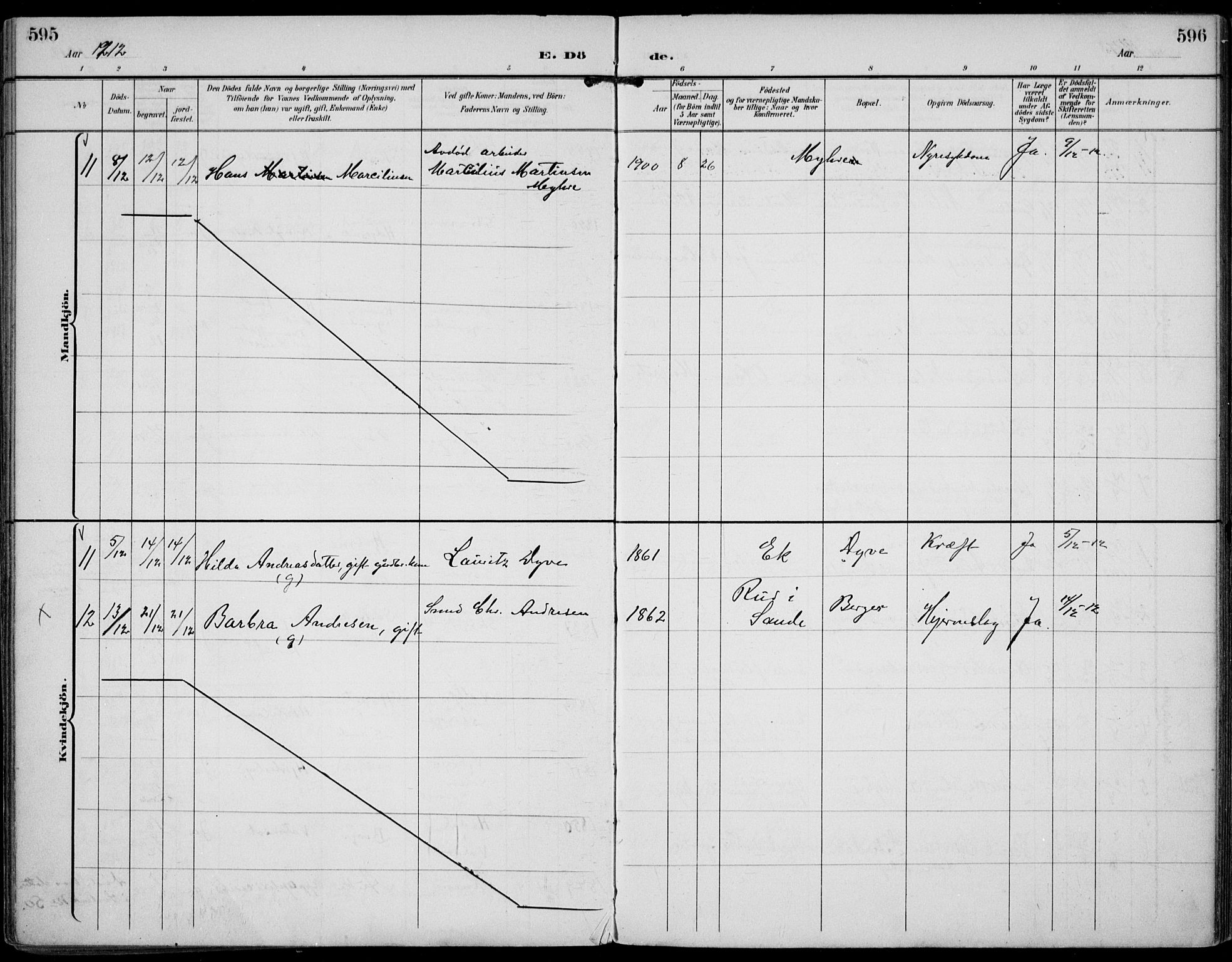 Strømm kirkebøker, AV/SAKO-A-322/F/Fa/L0005: Parish register (official) no. I 5, 1898-1919, p. 595-596