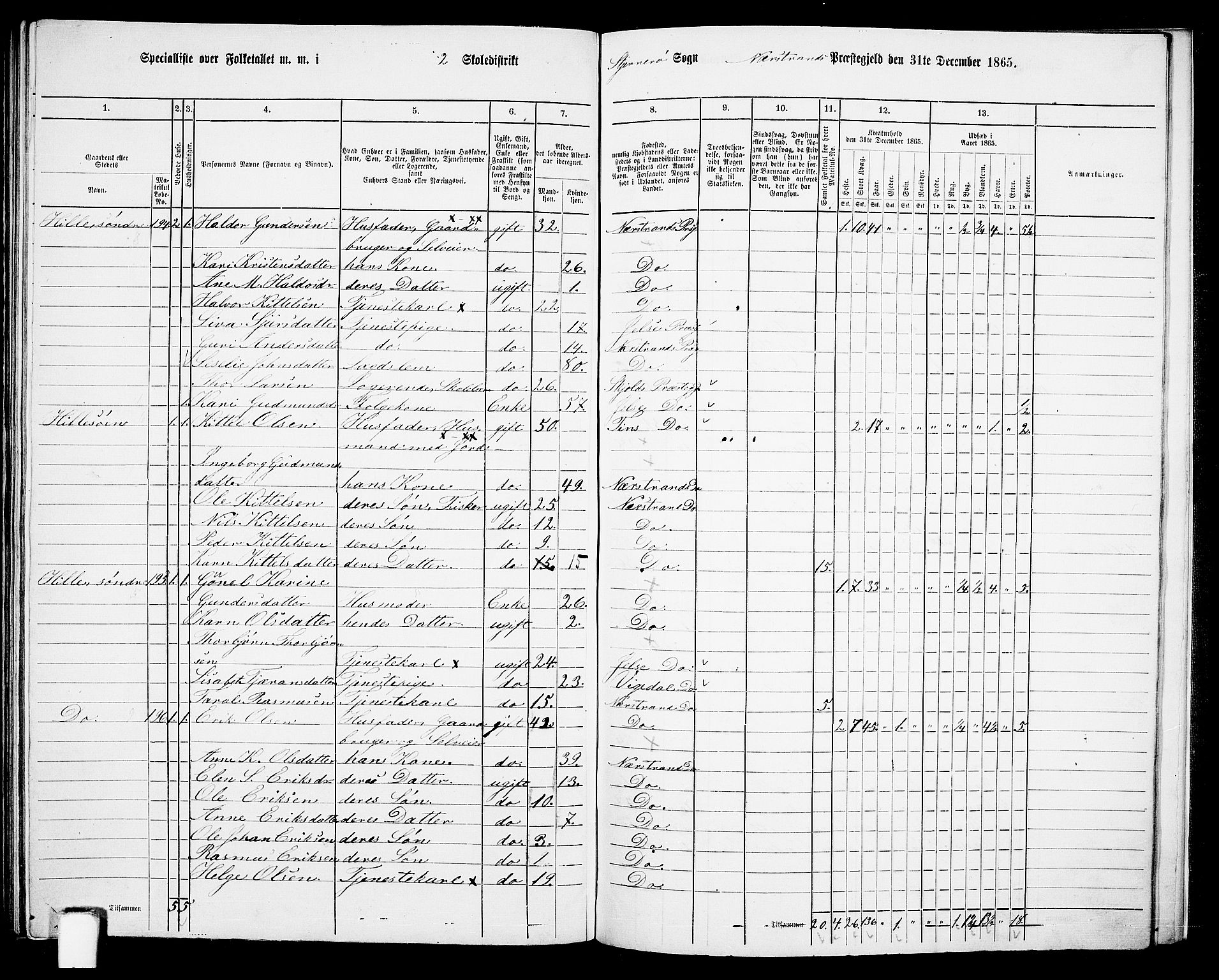 RA, 1865 census for Nedstrand, 1865, p. 95