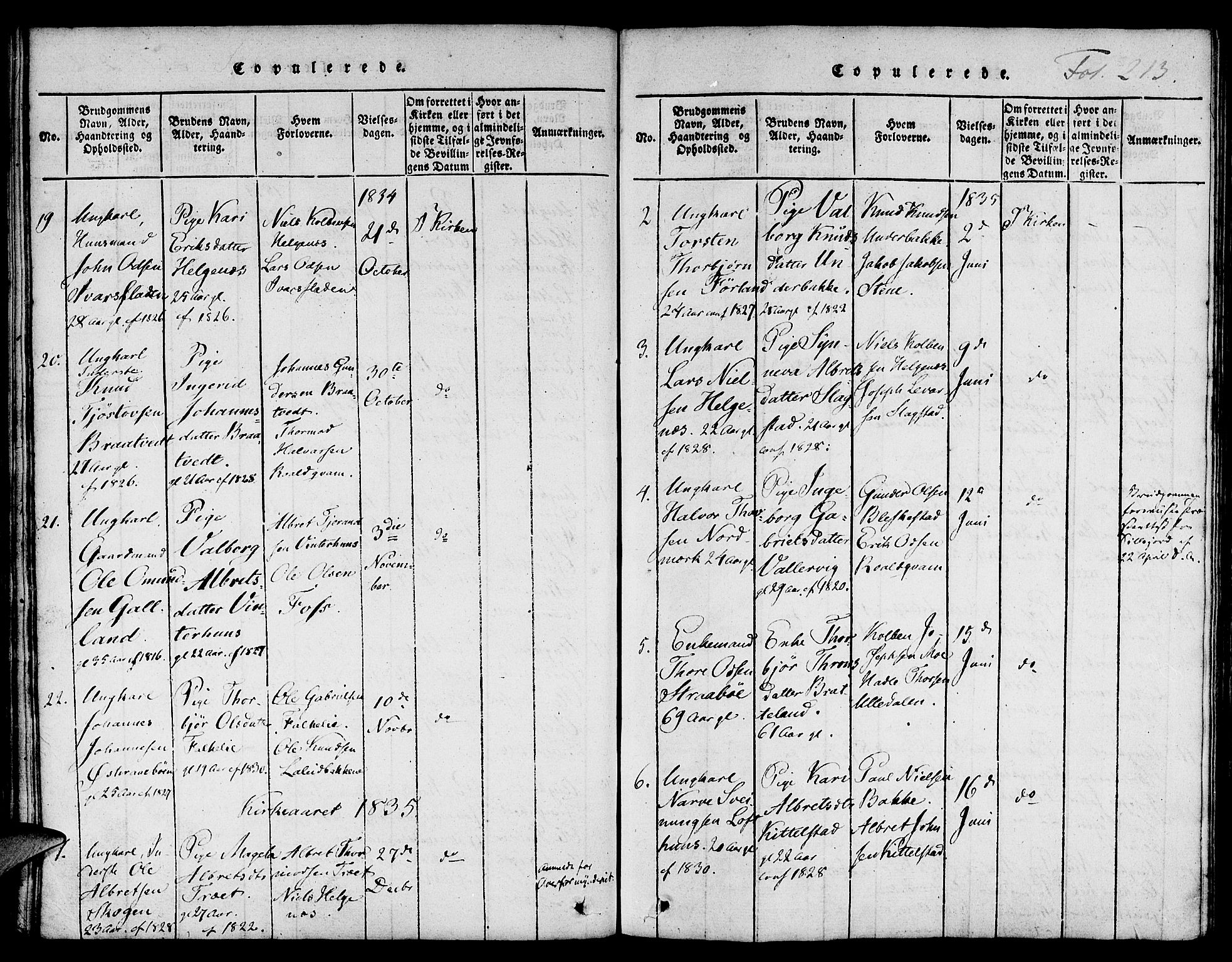 Suldal sokneprestkontor, SAST/A-101845/01/IV/L0006: Parish register (official) no. A 6, 1816-1836, p. 213