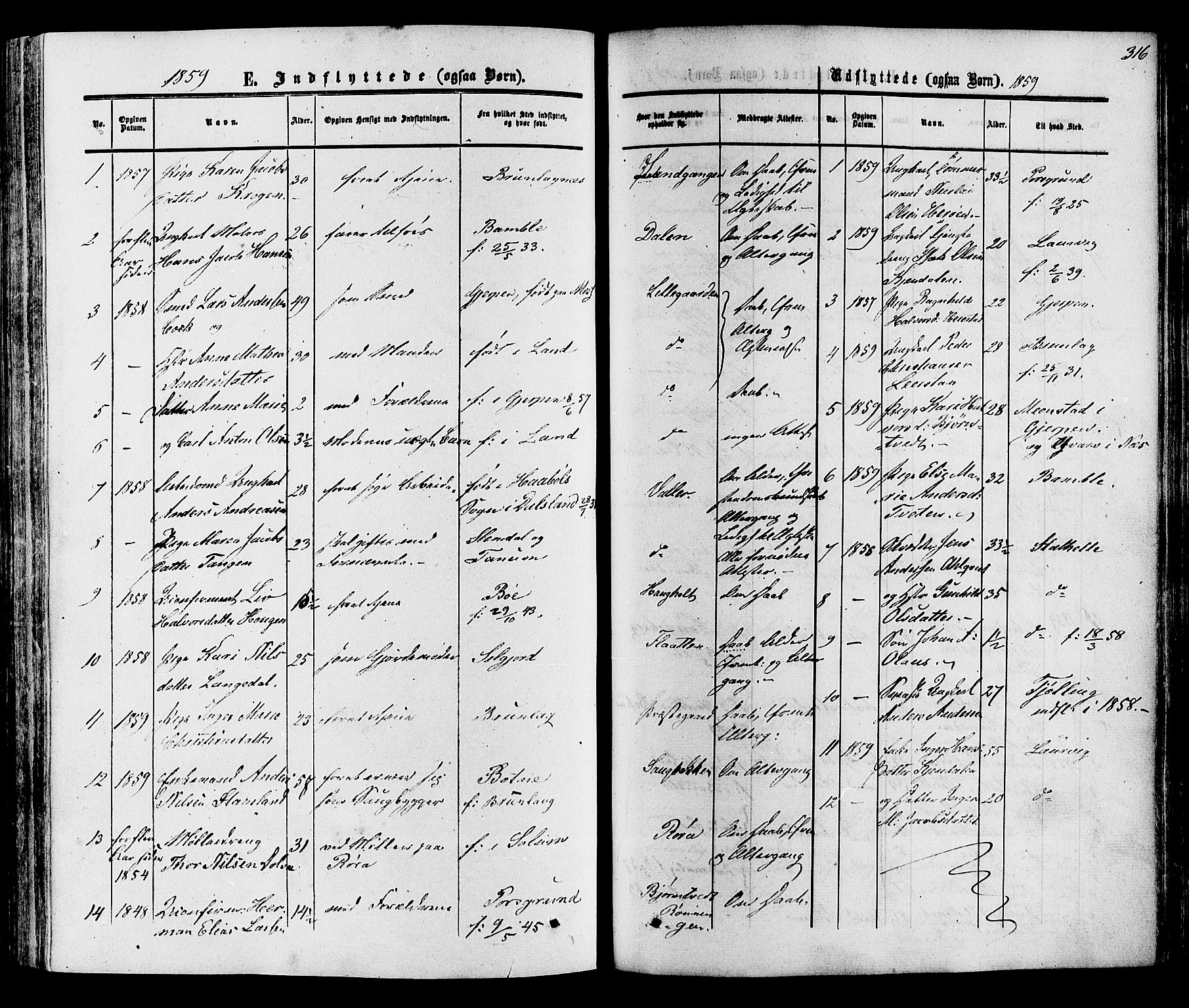 Eidanger kirkebøker, SAKO/A-261/F/Fa/L0010: Parish register (official) no. 10, 1859-1874, p. 316