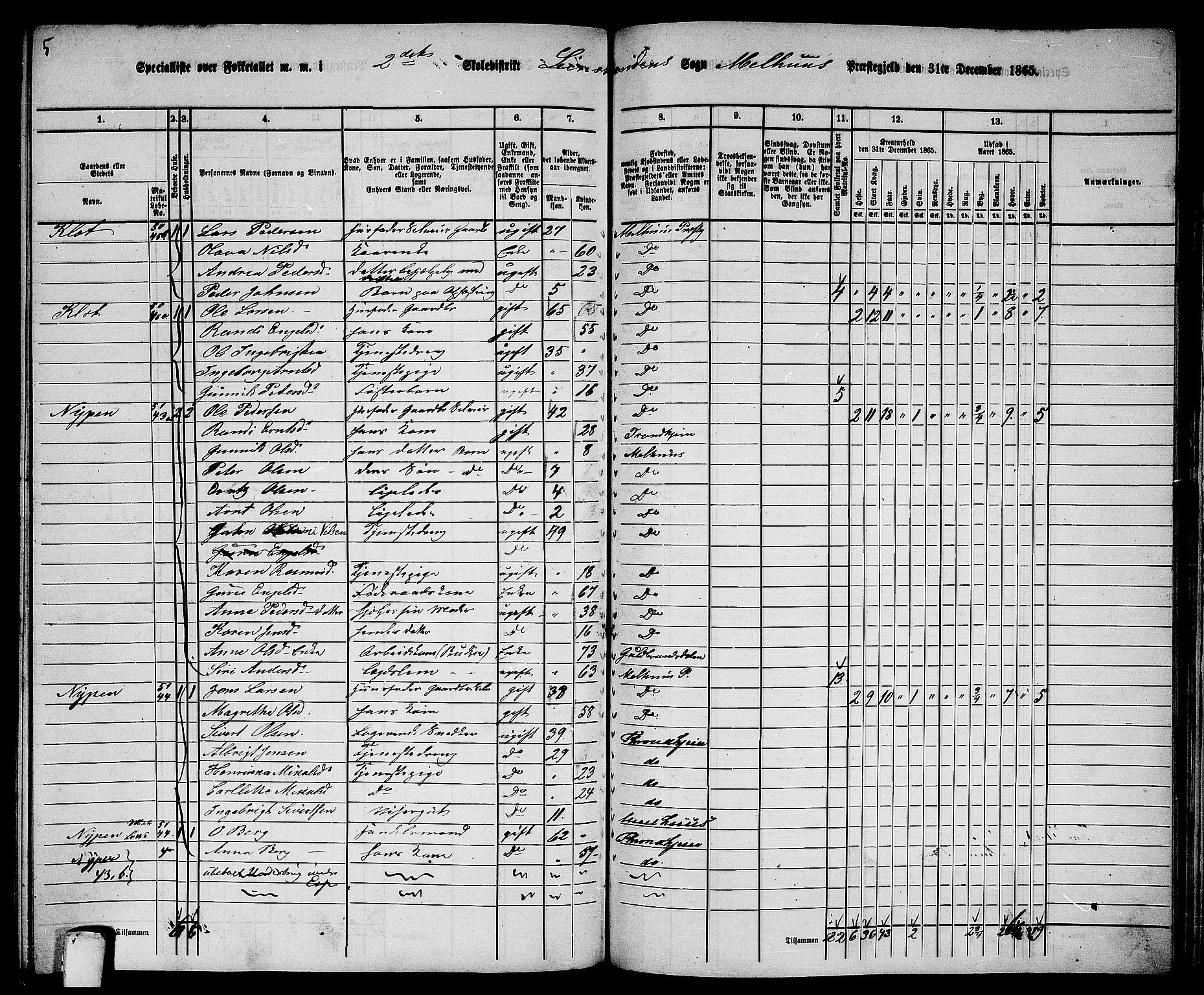 RA, 1865 census for Melhus, 1865, p. 221