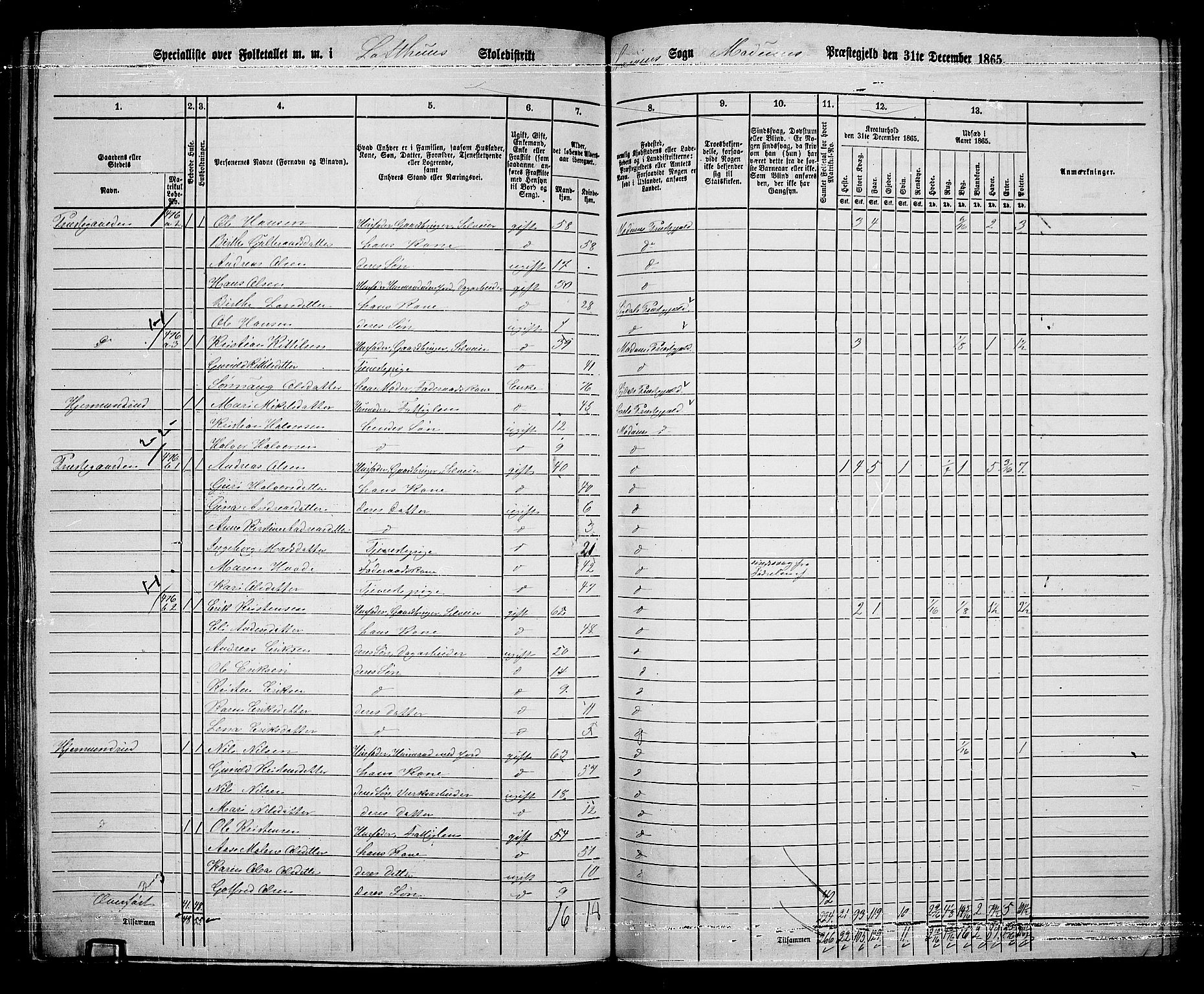 RA, 1865 census for Modum, 1865, p. 302