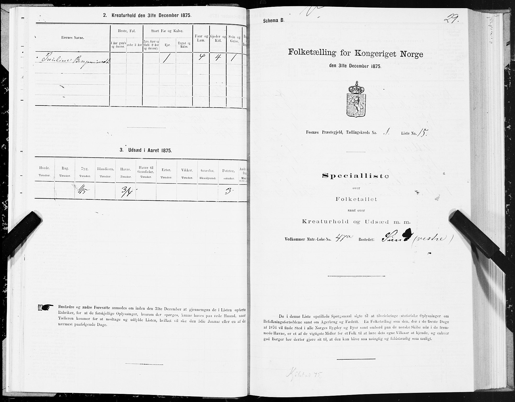 SAT, 1875 census for 1748P Fosnes, 1875, p. 3029