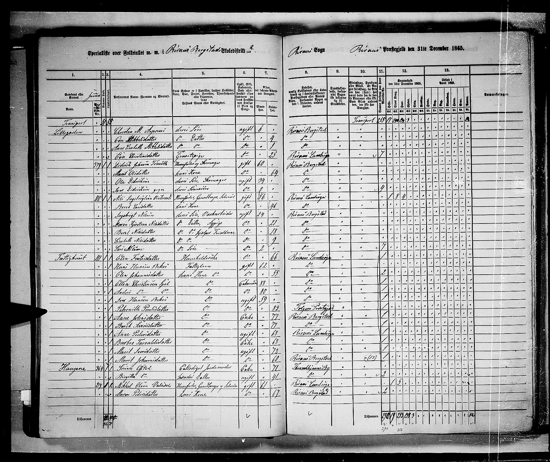 RA, 1865 census for Røros, 1865, p. 41