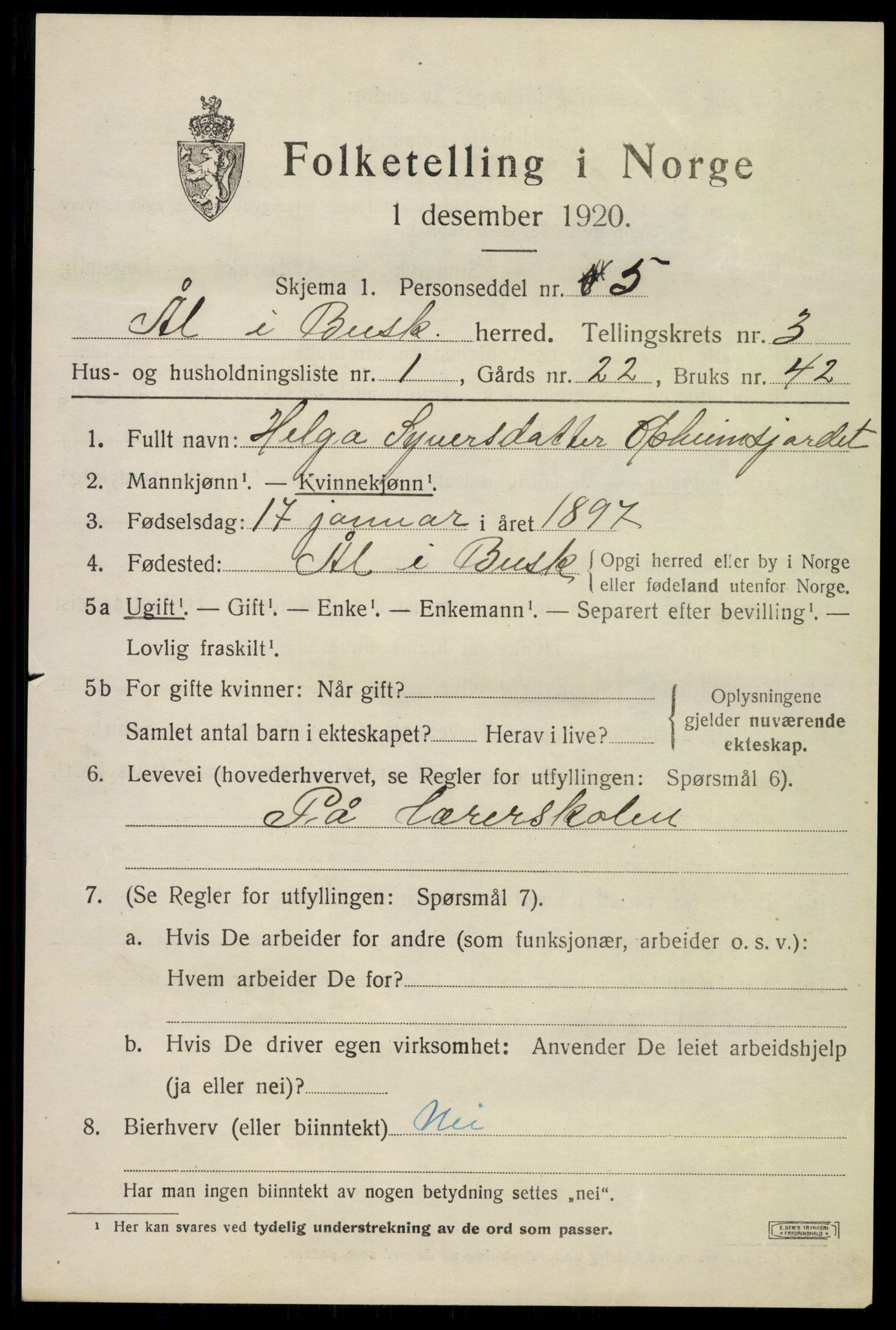 SAKO, 1920 census for Ål, 1920, p. 2384