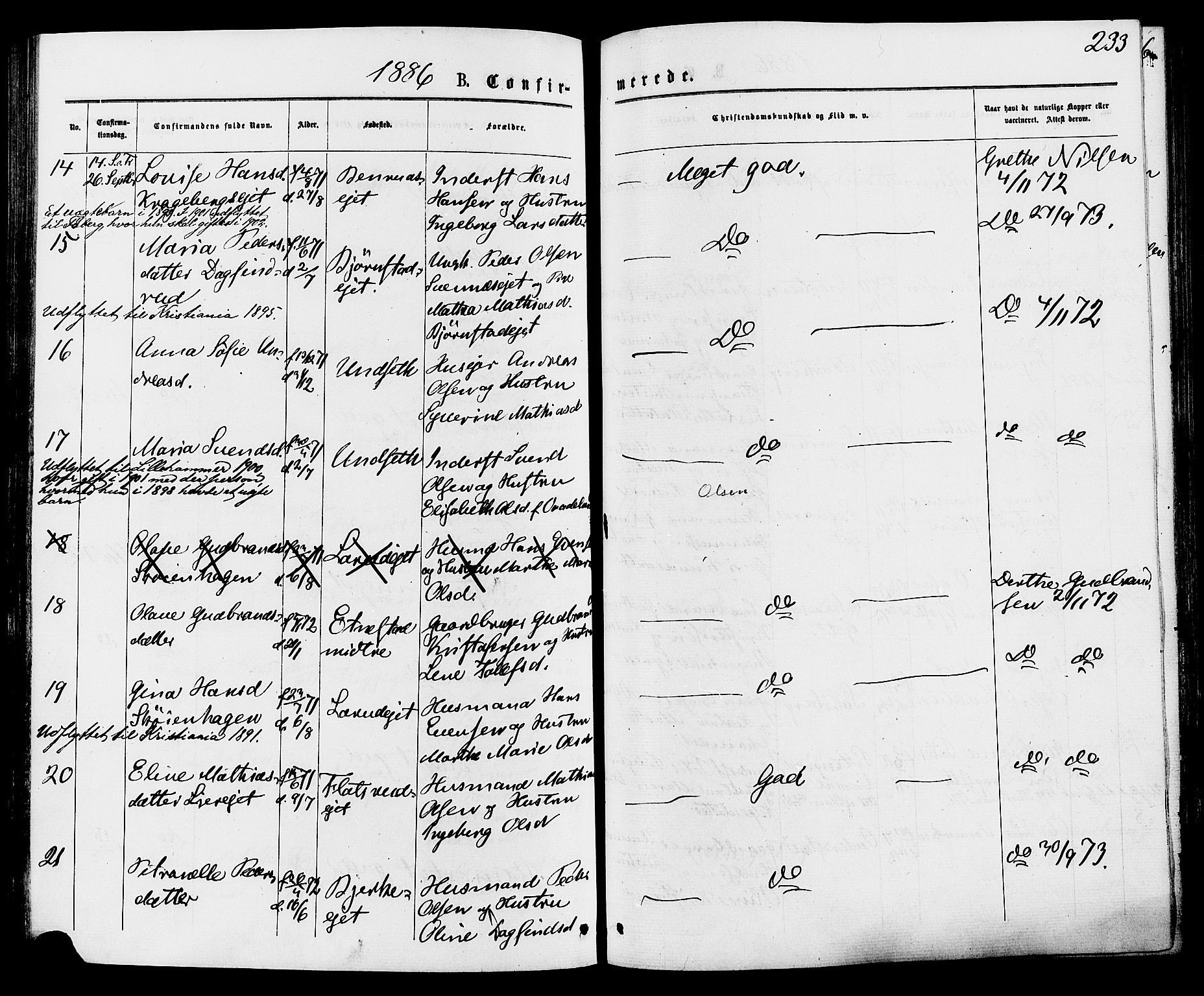 Biri prestekontor, AV/SAH-PREST-096/H/Ha/Haa/L0006: Parish register (official) no. 6, 1877-1886, p. 233