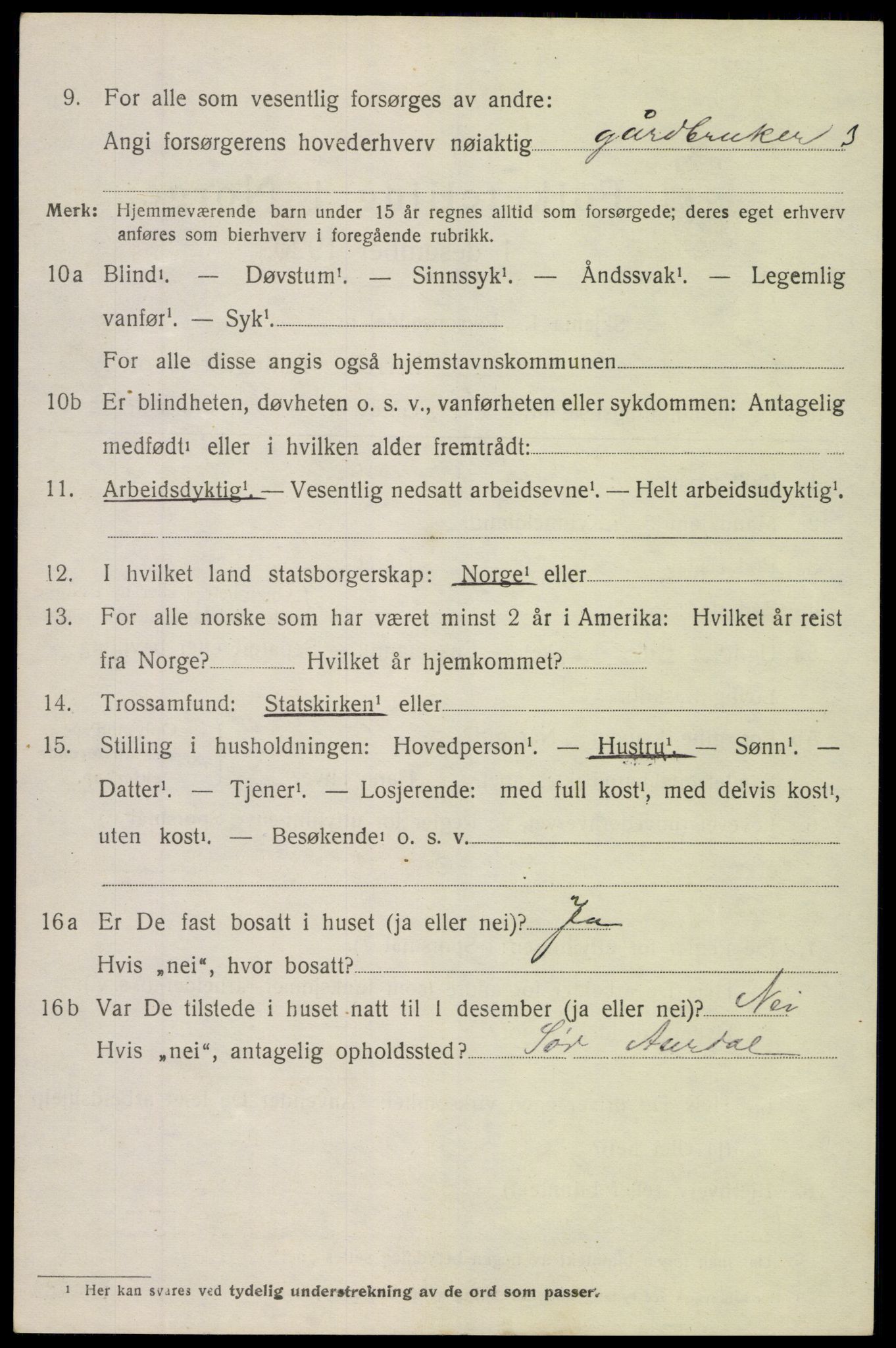 SAH, 1920 census for Øystre Slidre, 1920, p. 4018