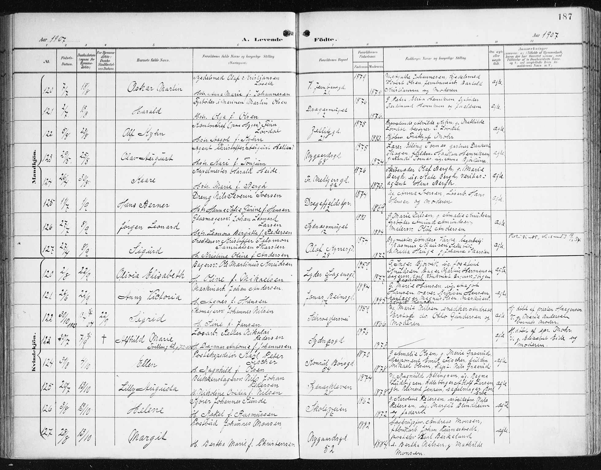 Johanneskirken sokneprestembete, AV/SAB-A-76001/H/Haa/L0002: Parish register (official) no. A 2, 1900-1912, p. 187