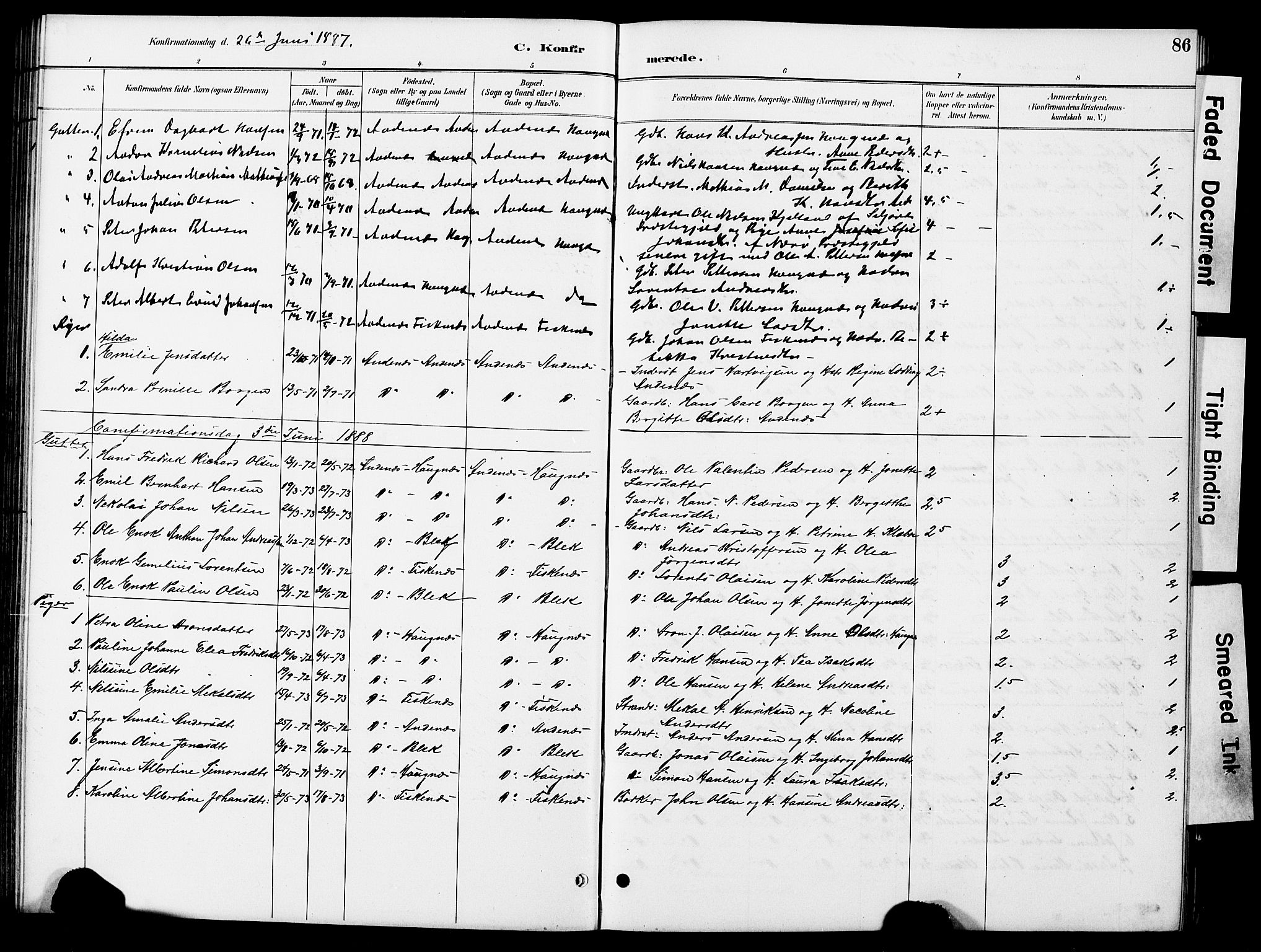 Ministerialprotokoller, klokkerbøker og fødselsregistre - Nordland, AV/SAT-A-1459/899/L1448: Parish register (copy) no. 899C03, 1887-1902, p. 86