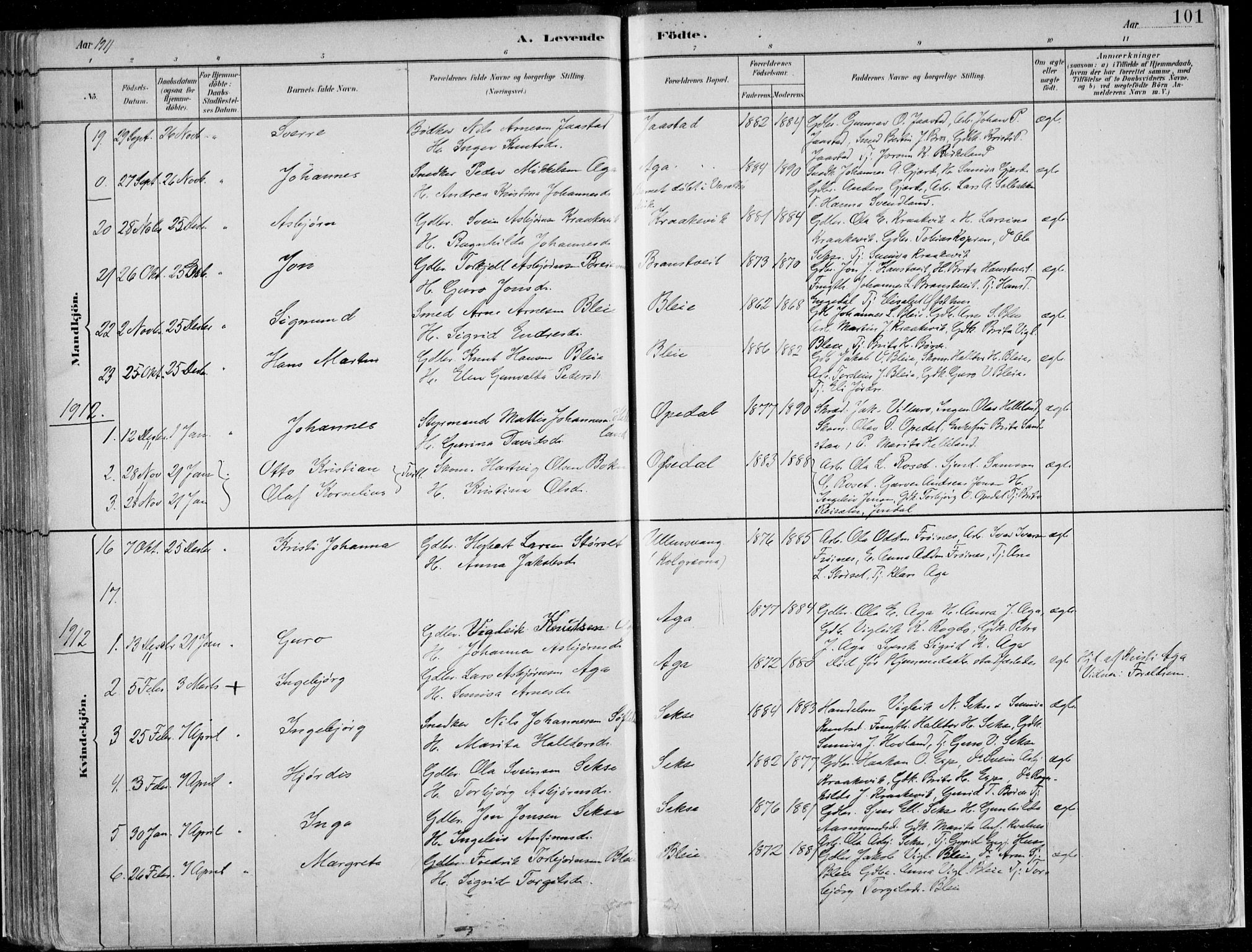 Ullensvang sokneprestembete, SAB/A-78701/H/Haa: Parish register (official) no. B  1, 1882-1918, p. 101