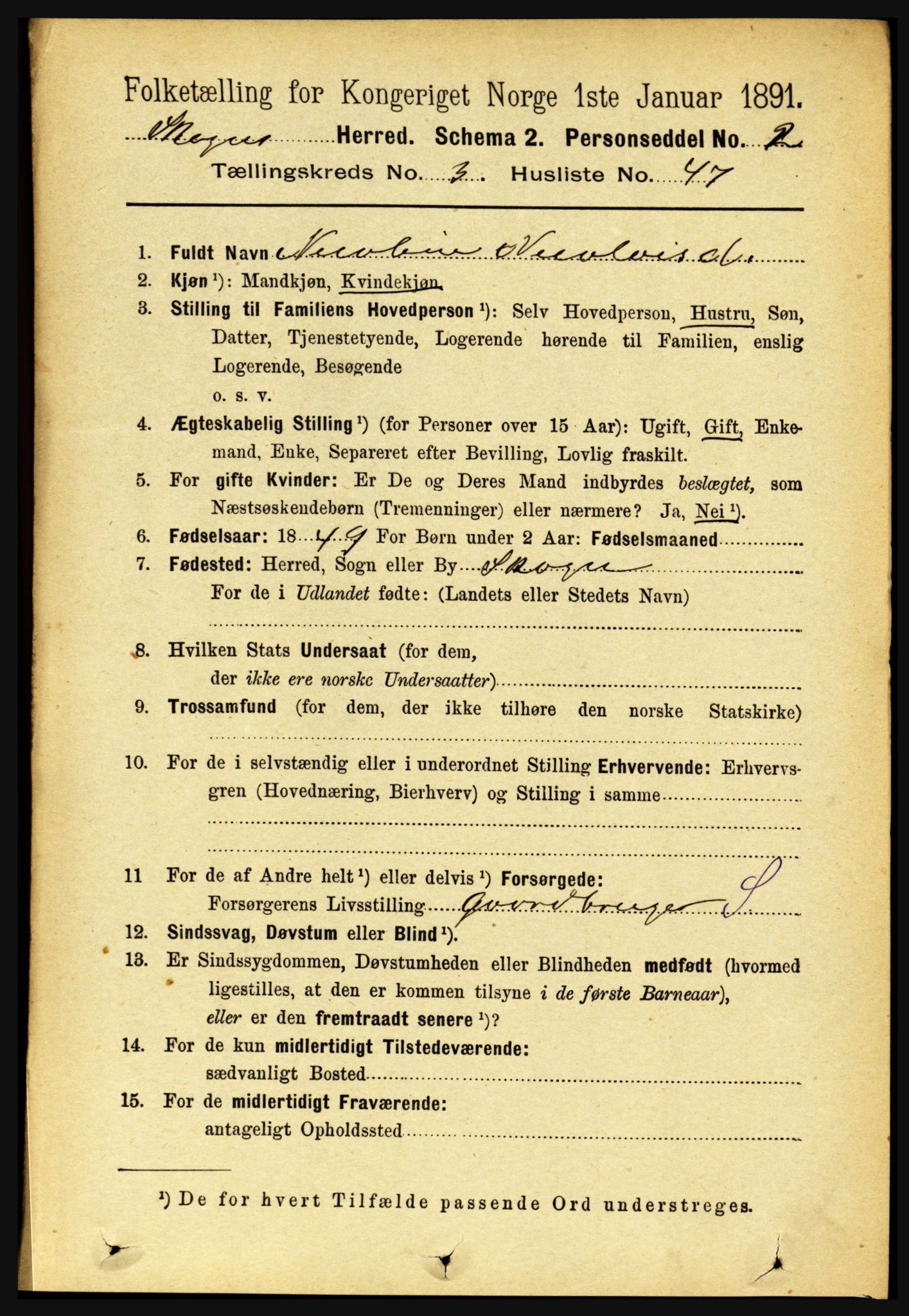 RA, 1891 census for 1719 Skogn, 1891, p. 1899