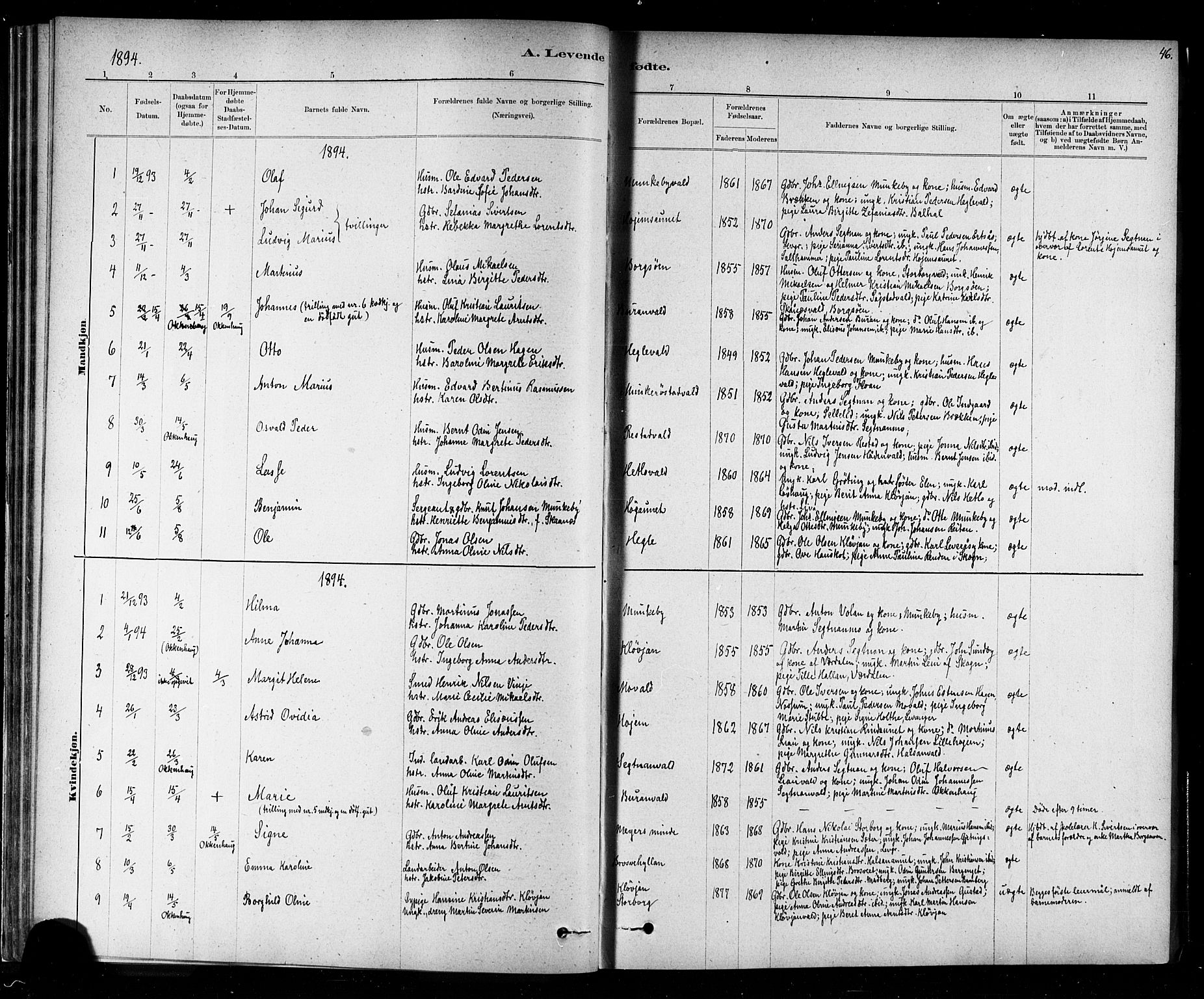 Ministerialprotokoller, klokkerbøker og fødselsregistre - Nord-Trøndelag, SAT/A-1458/721/L0208: Parish register (copy) no. 721C01, 1880-1917, p. 46
