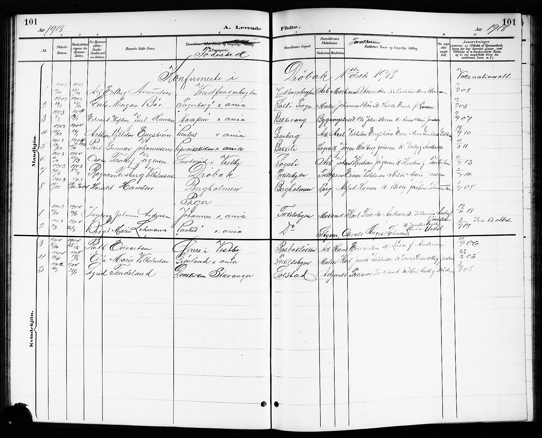 Drøbak prestekontor Kirkebøker, SAO/A-10142a/G/Gb/L0001: Parish register (copy) no. II 1, 1901-1919, p. 101