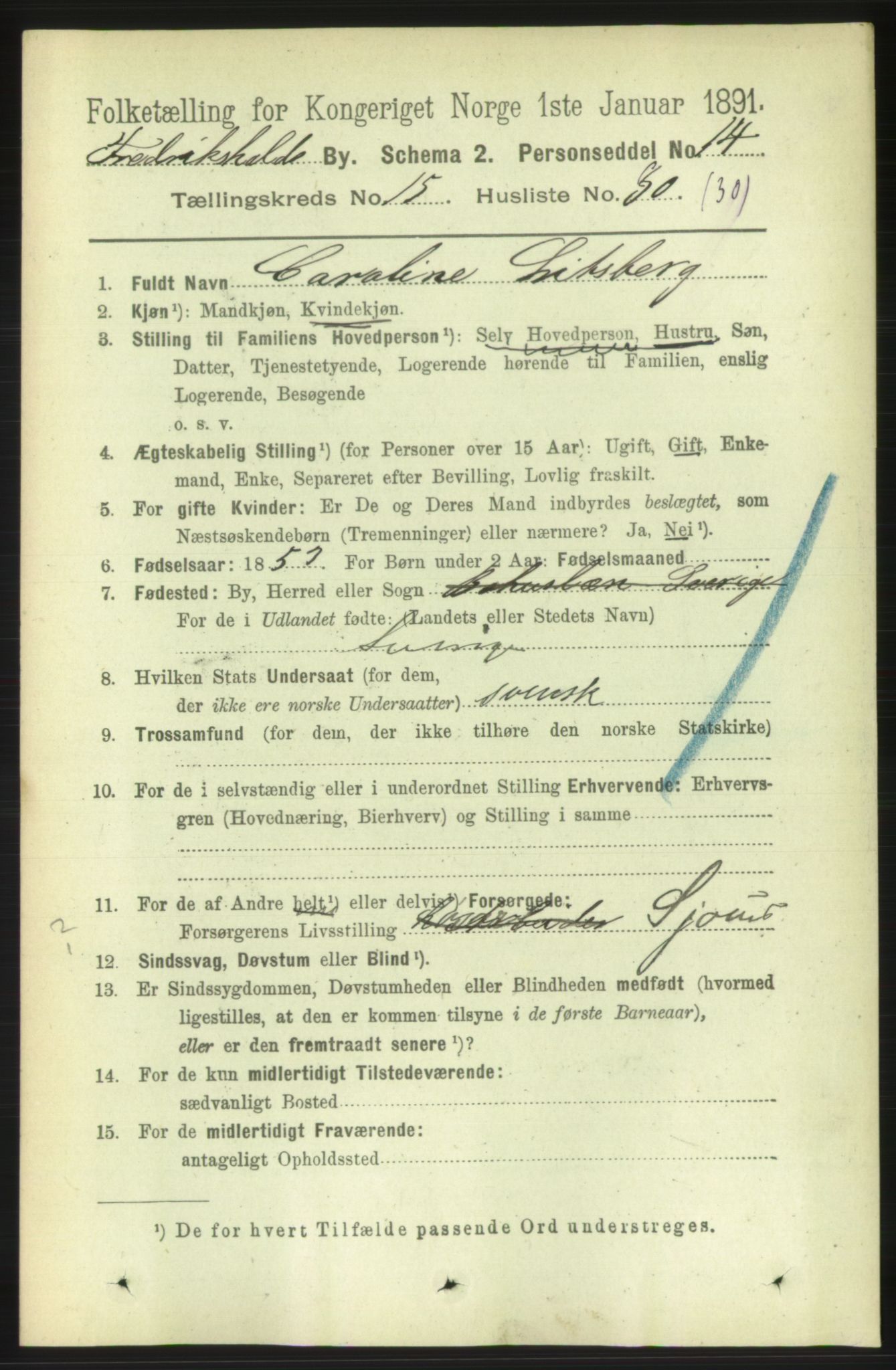 RA, 1891 census for 0101 Fredrikshald, 1891, p. 9763