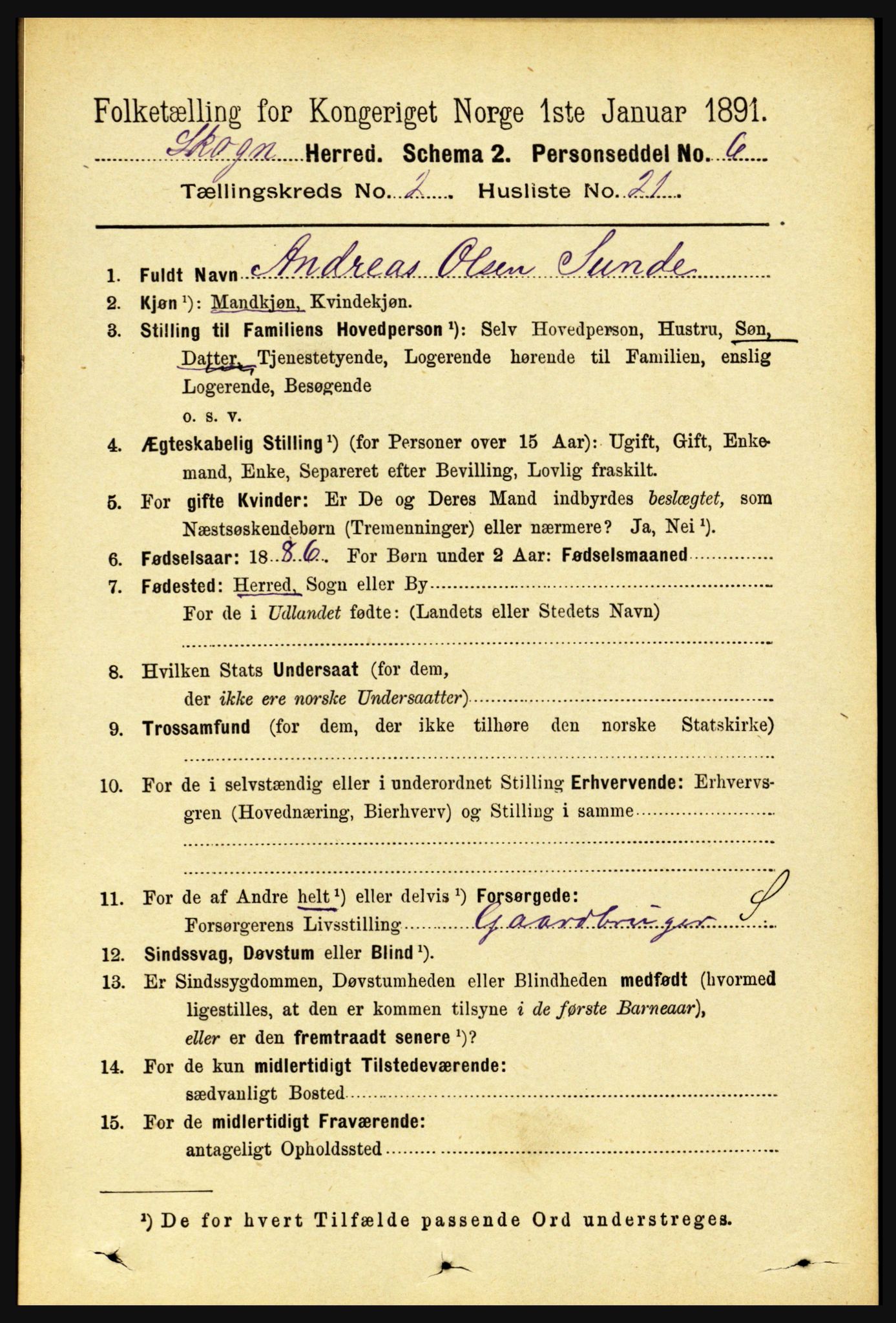 RA, 1891 census for 1719 Skogn, 1891, p. 1093