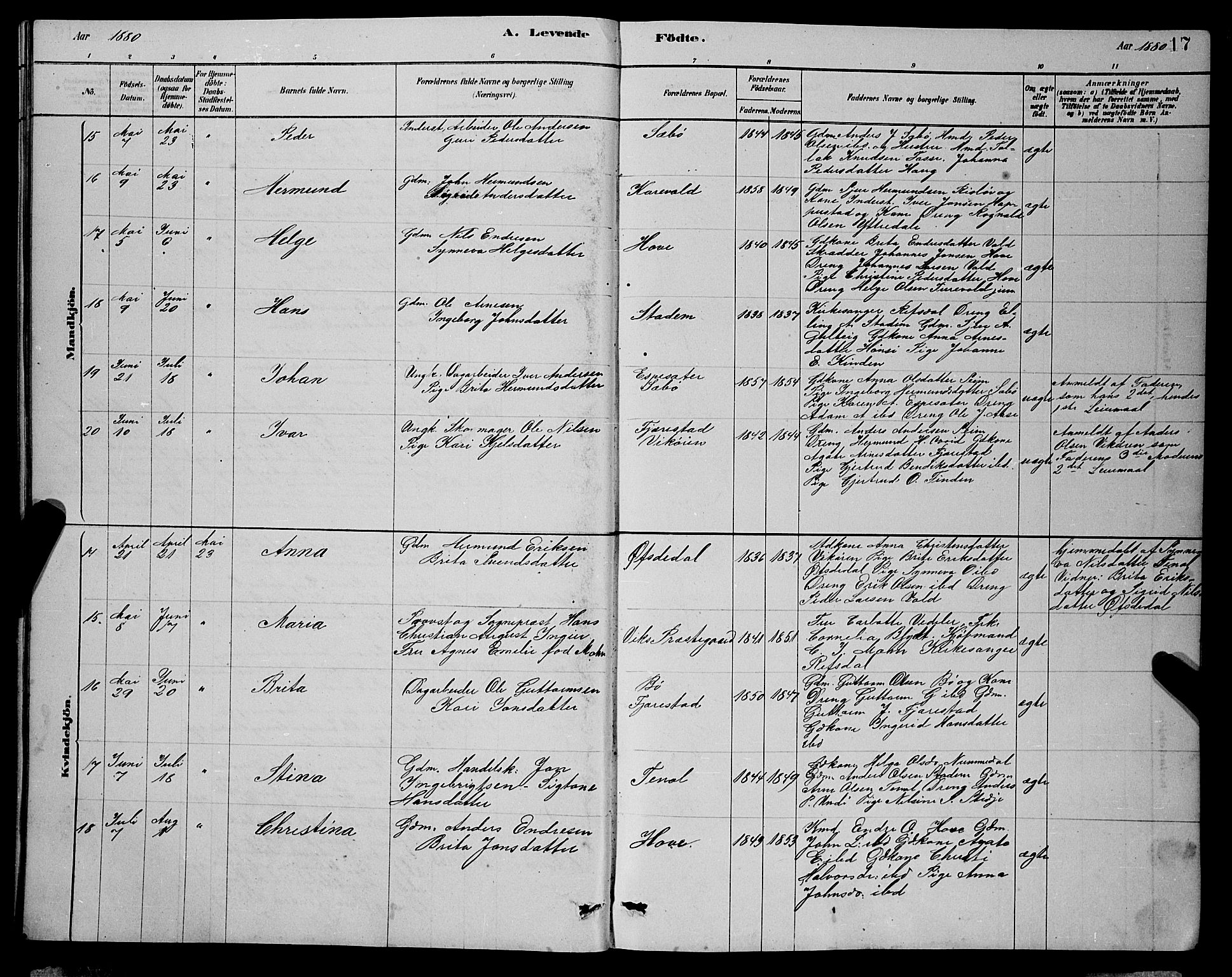 Vik sokneprestembete, AV/SAB-A-81501/H/Hab/Haba/L0003: Parish register (copy) no. A 3, 1878-1894, p. 17