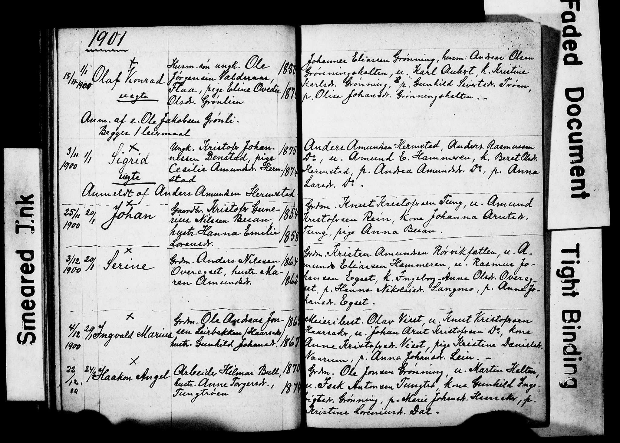 Ministerialprotokoller, klokkerbøker og fødselsregistre - Sør-Trøndelag, AV/SAT-A-1456/646/L0630: Parish register (copy) no. 646C03, 1895-1905