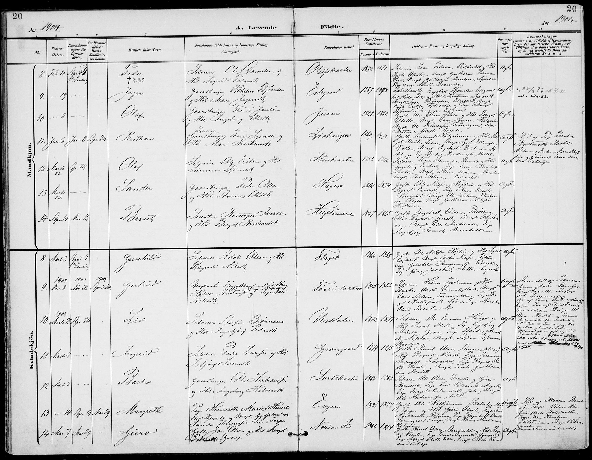 Gol kirkebøker, SAKO/A-226/F/Fa/L0006: Parish register (official) no. I 6, 1901-1918, p. 20
