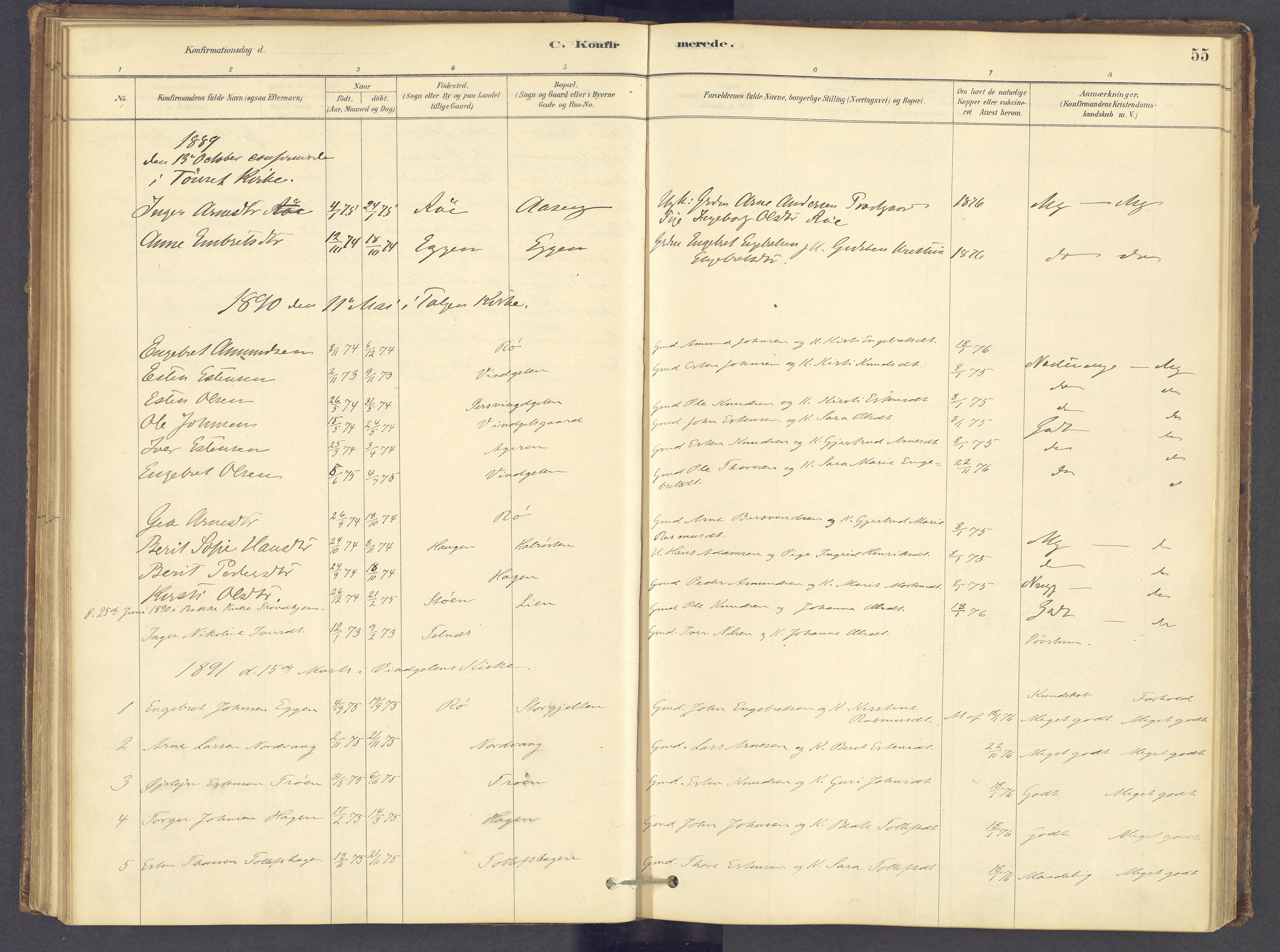 Tolga prestekontor, SAH/PREST-062/K/L0012: Parish register (official) no. 12, 1877-1925, p. 55